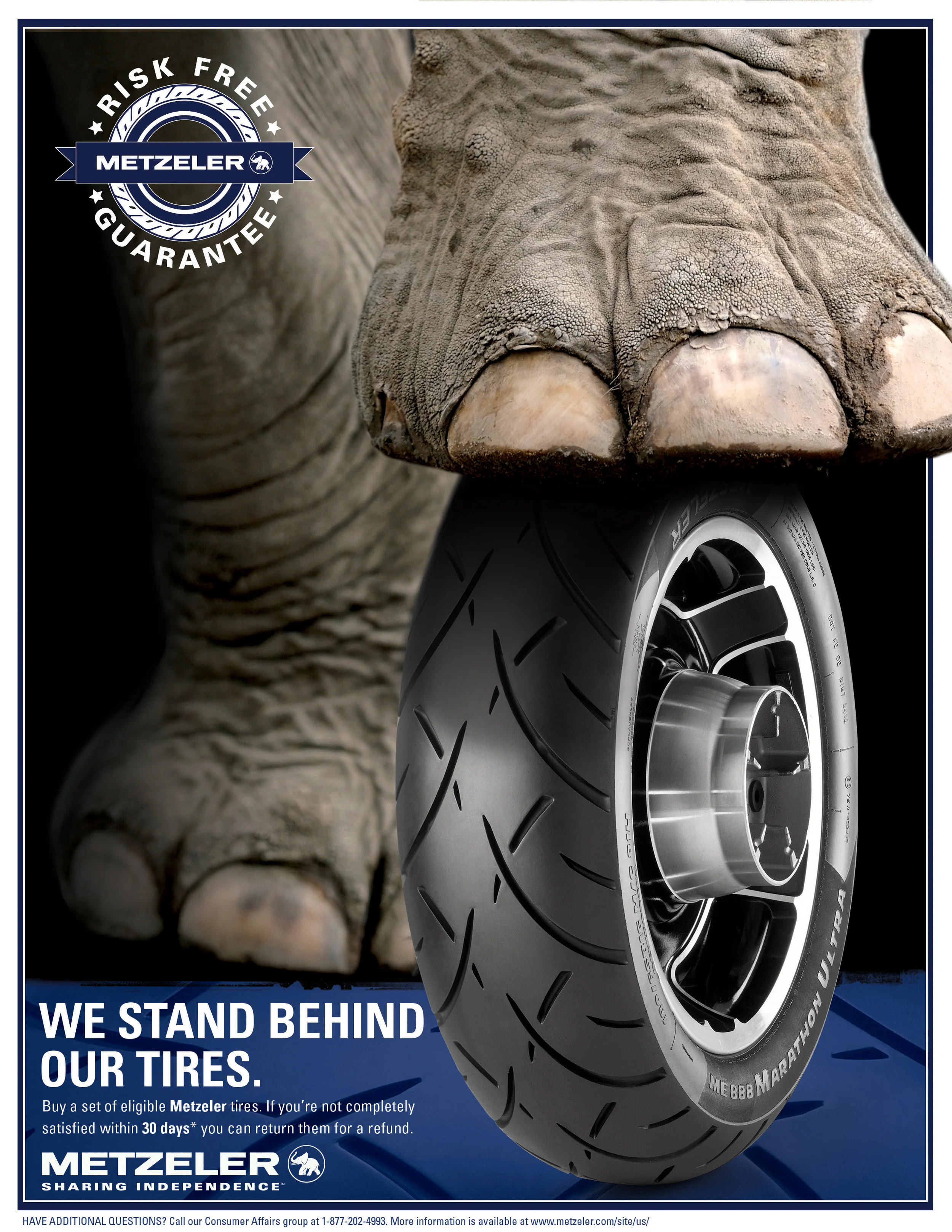 Elephant.jpg
