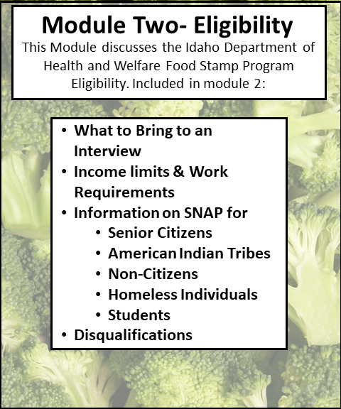Idaho Food Stamps Income