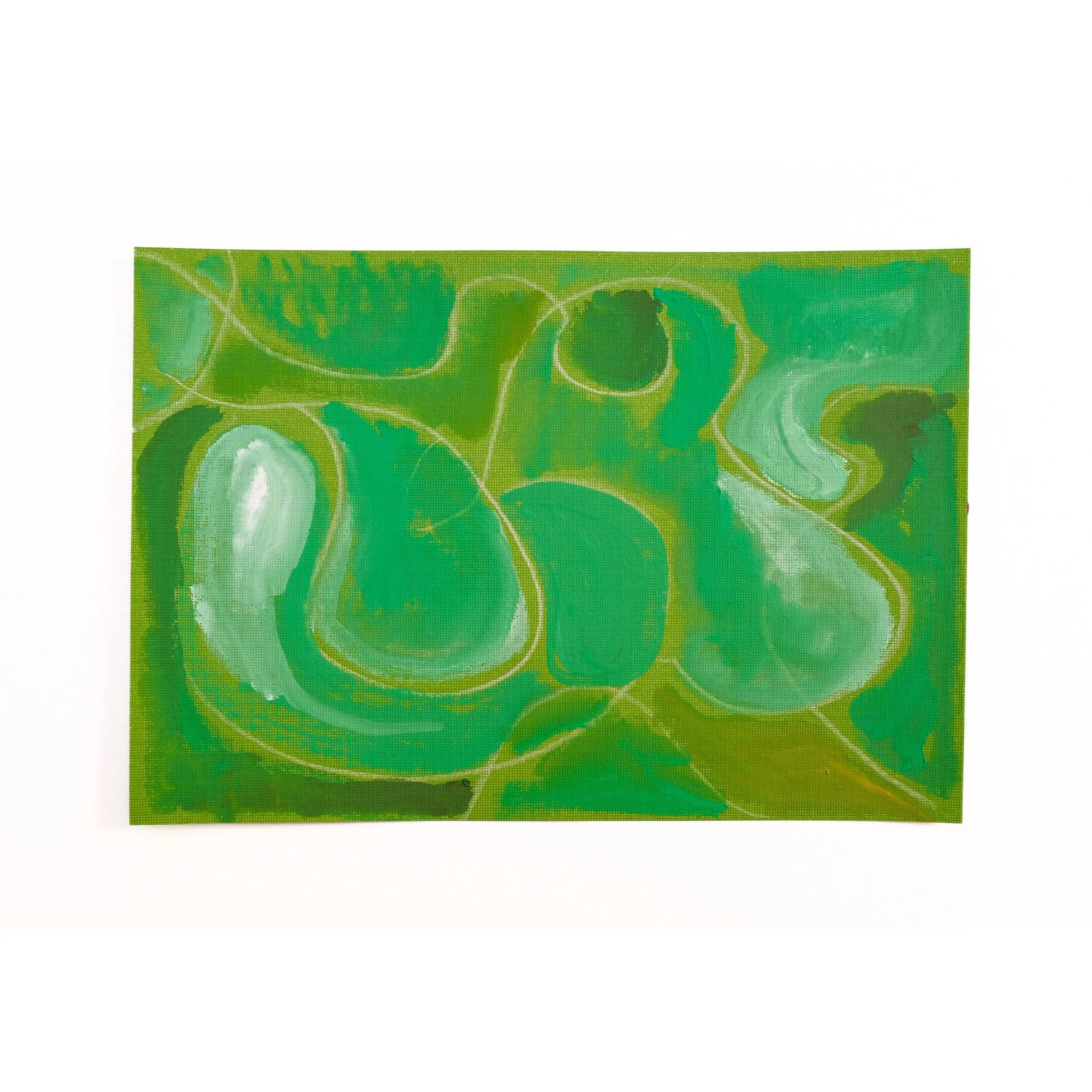 Whitagram-Image 8.JPG