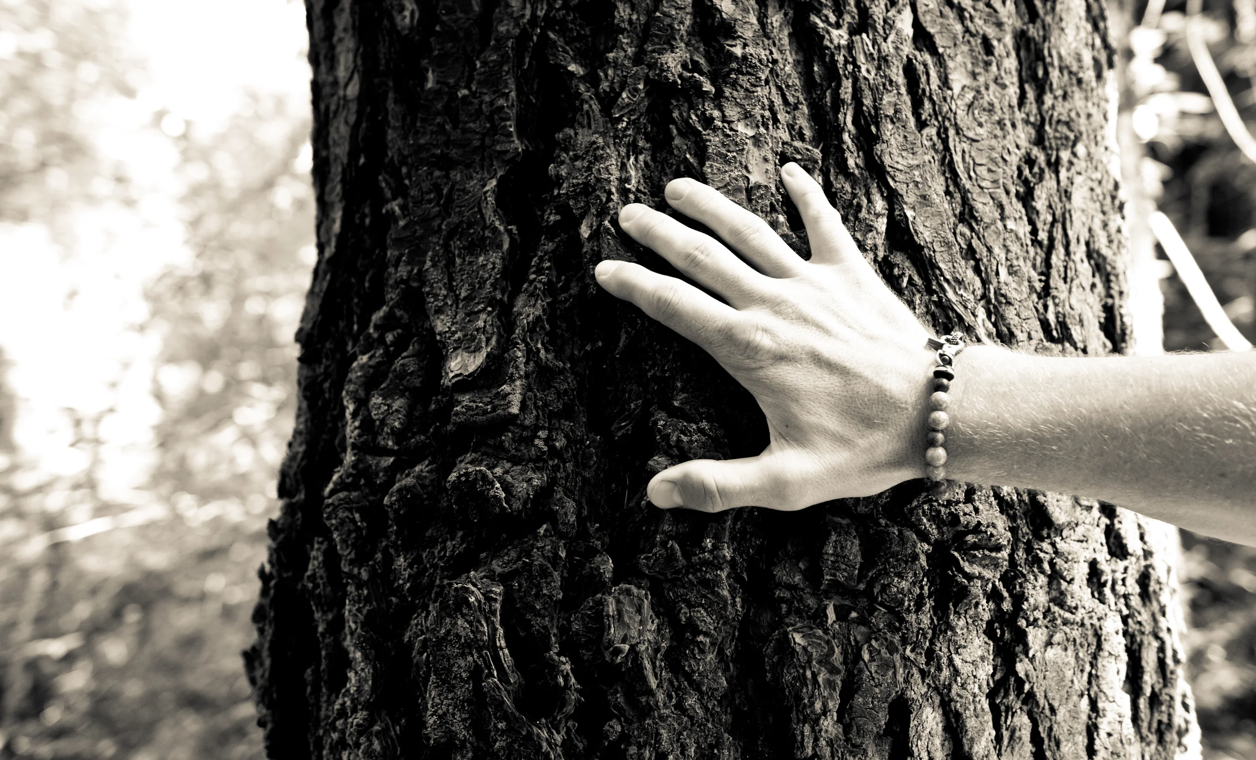 Five Marketing Lessons Learned in the Trenches