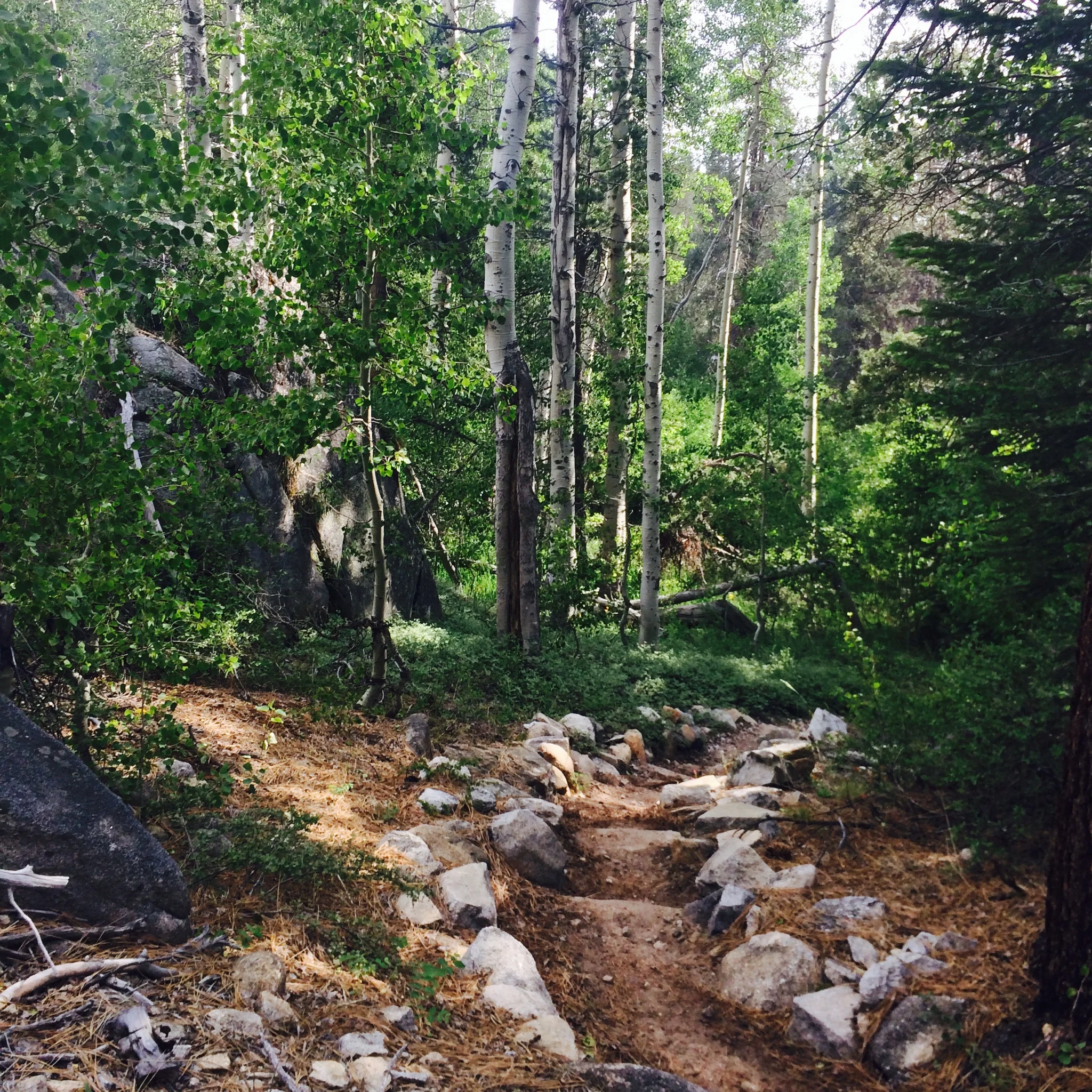 photo 1.JPG