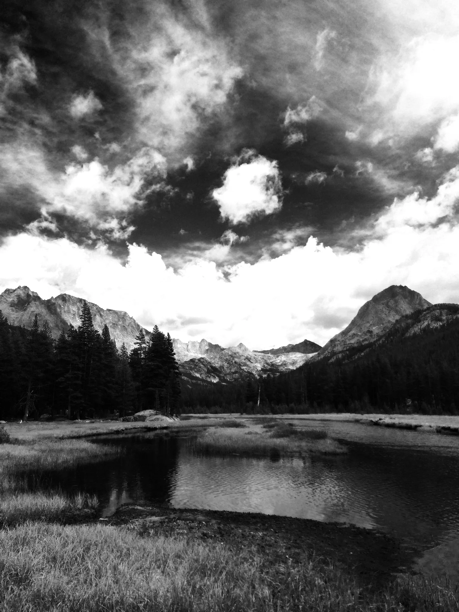 photo 3 2.JPG