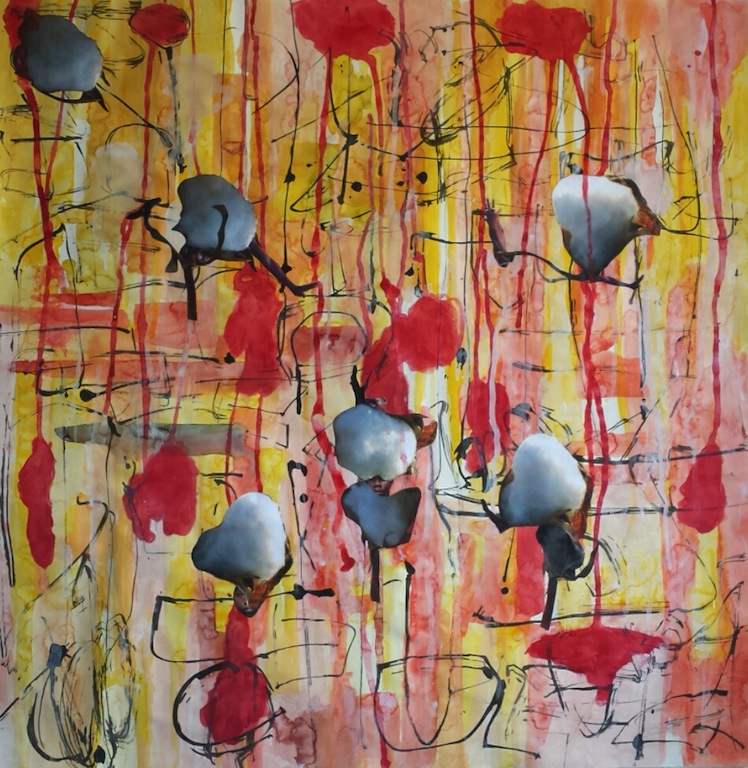 project cotton seeds, 2015