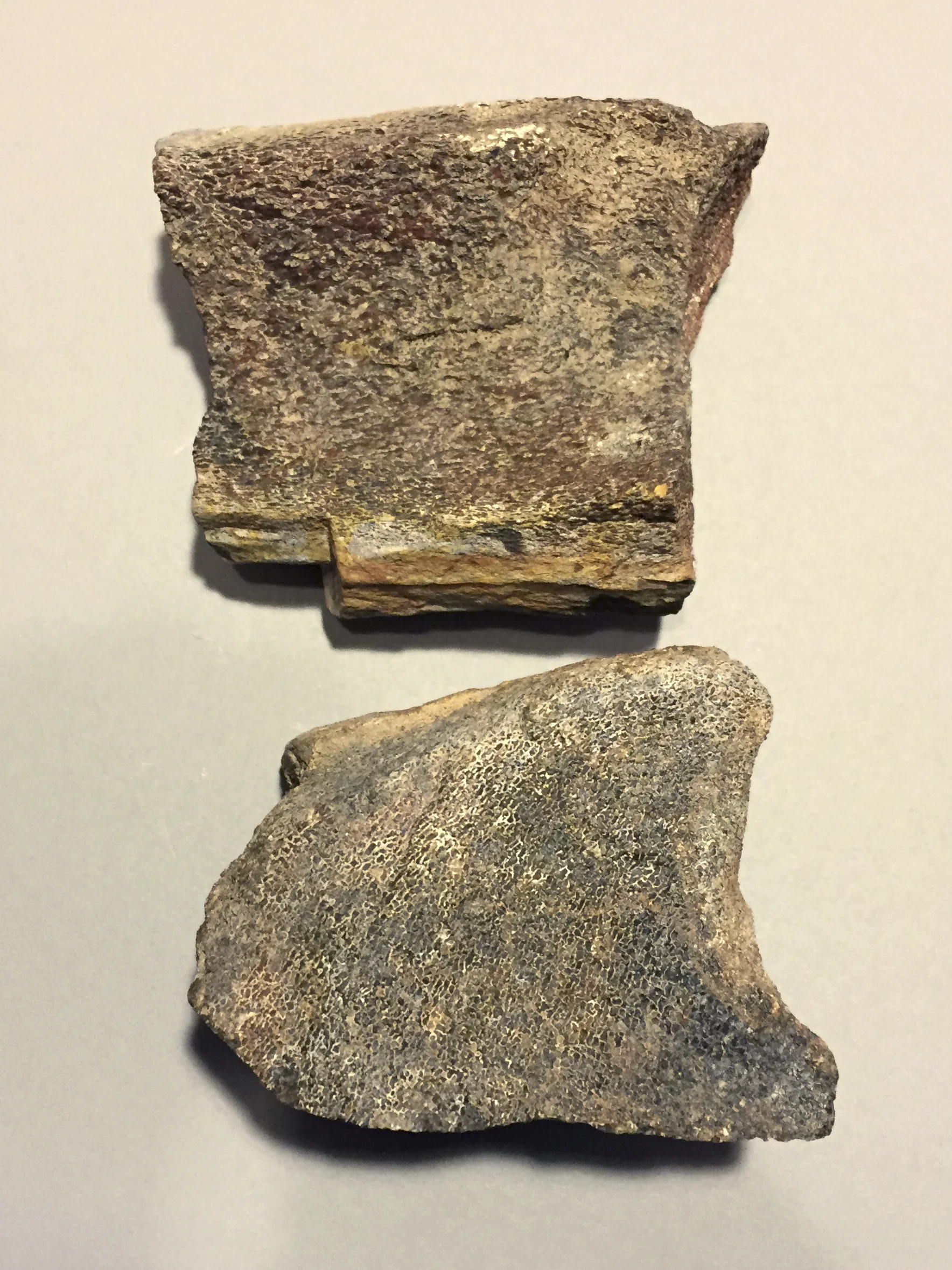 Vertebrata (Reptilia) Dinosaur bone fragment from a Brontosaurus, from the upper Jurassic period (150 million years)