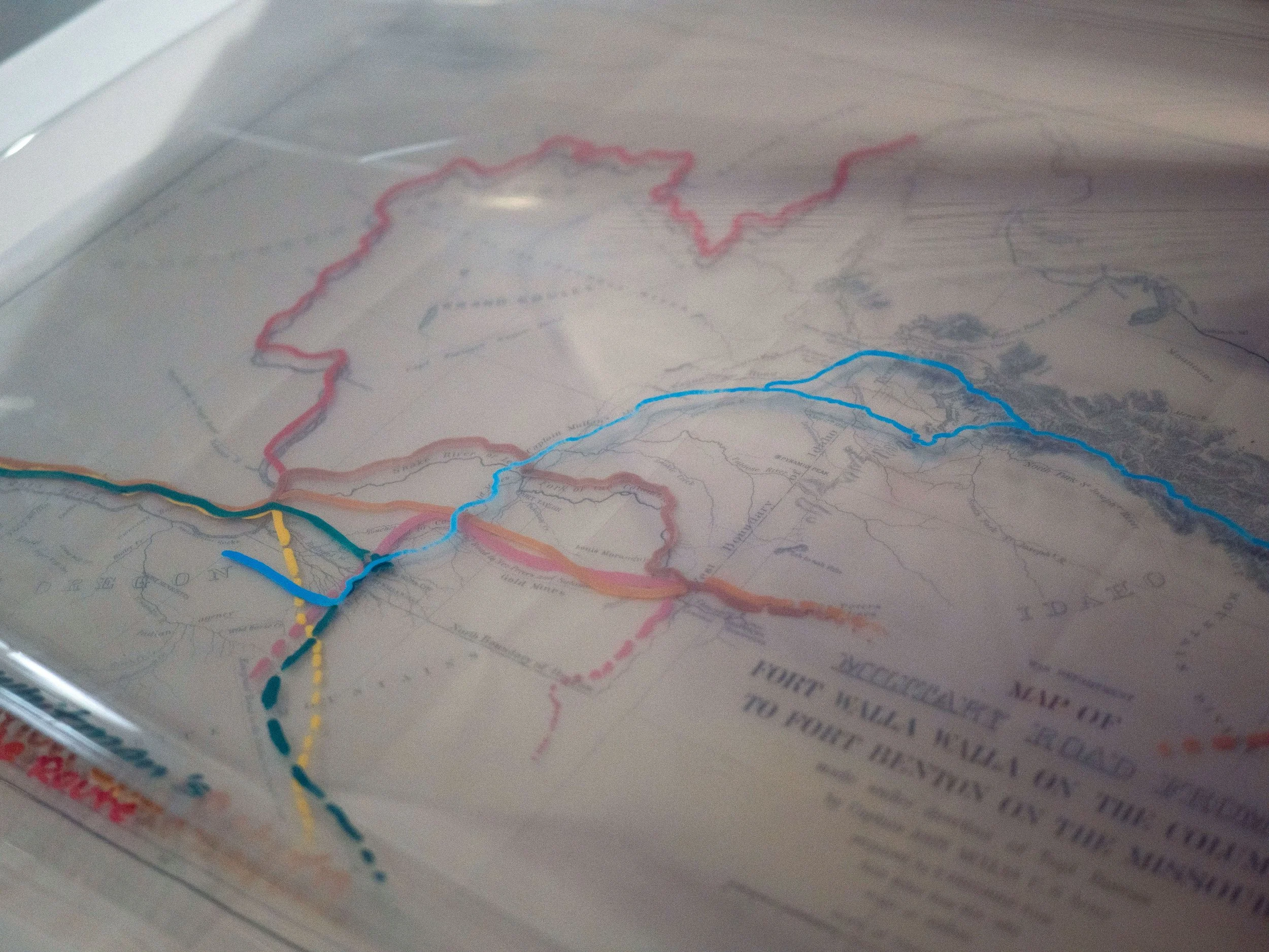 Interactive Map