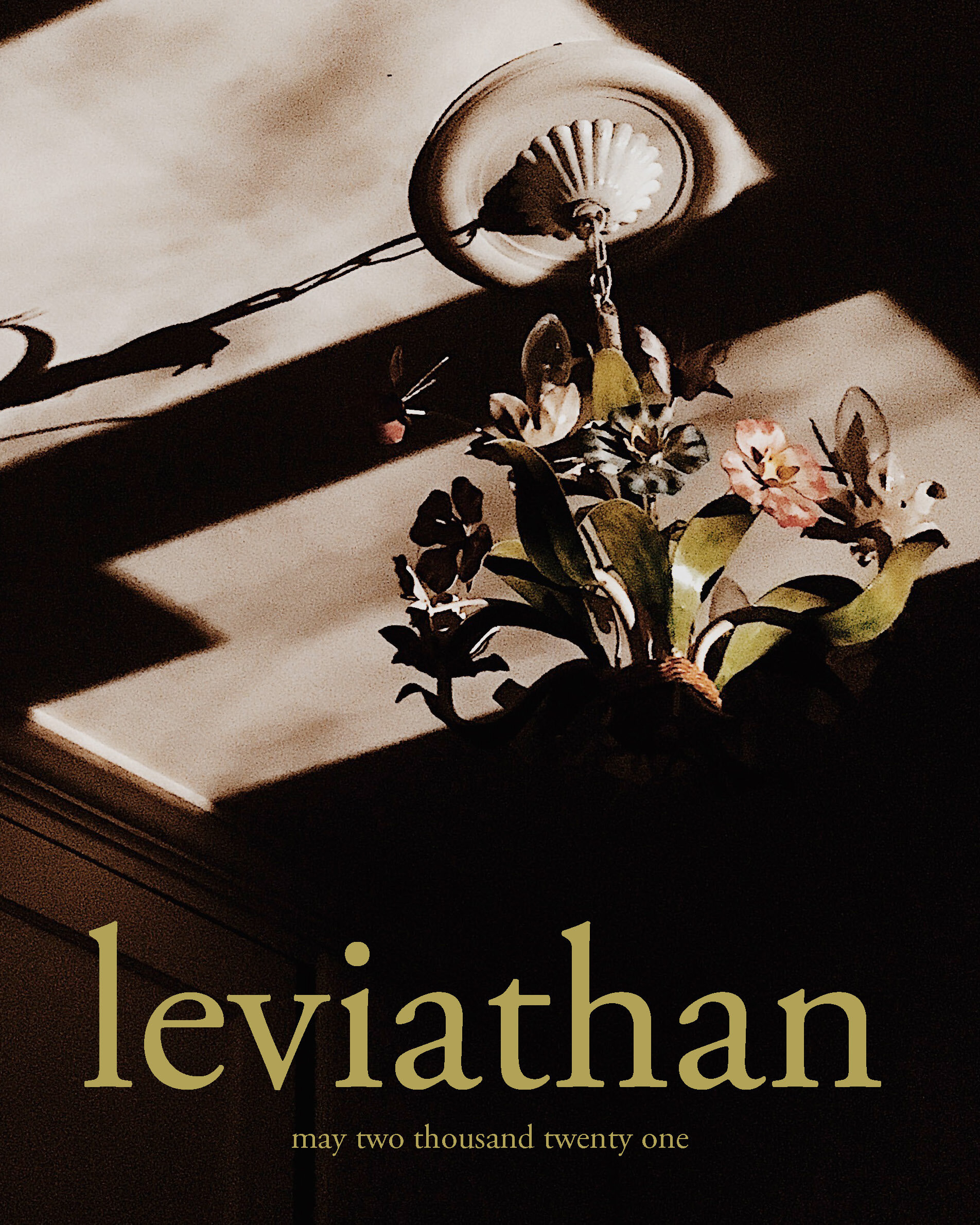 Leviathan May 2021_Page_01.jpg
