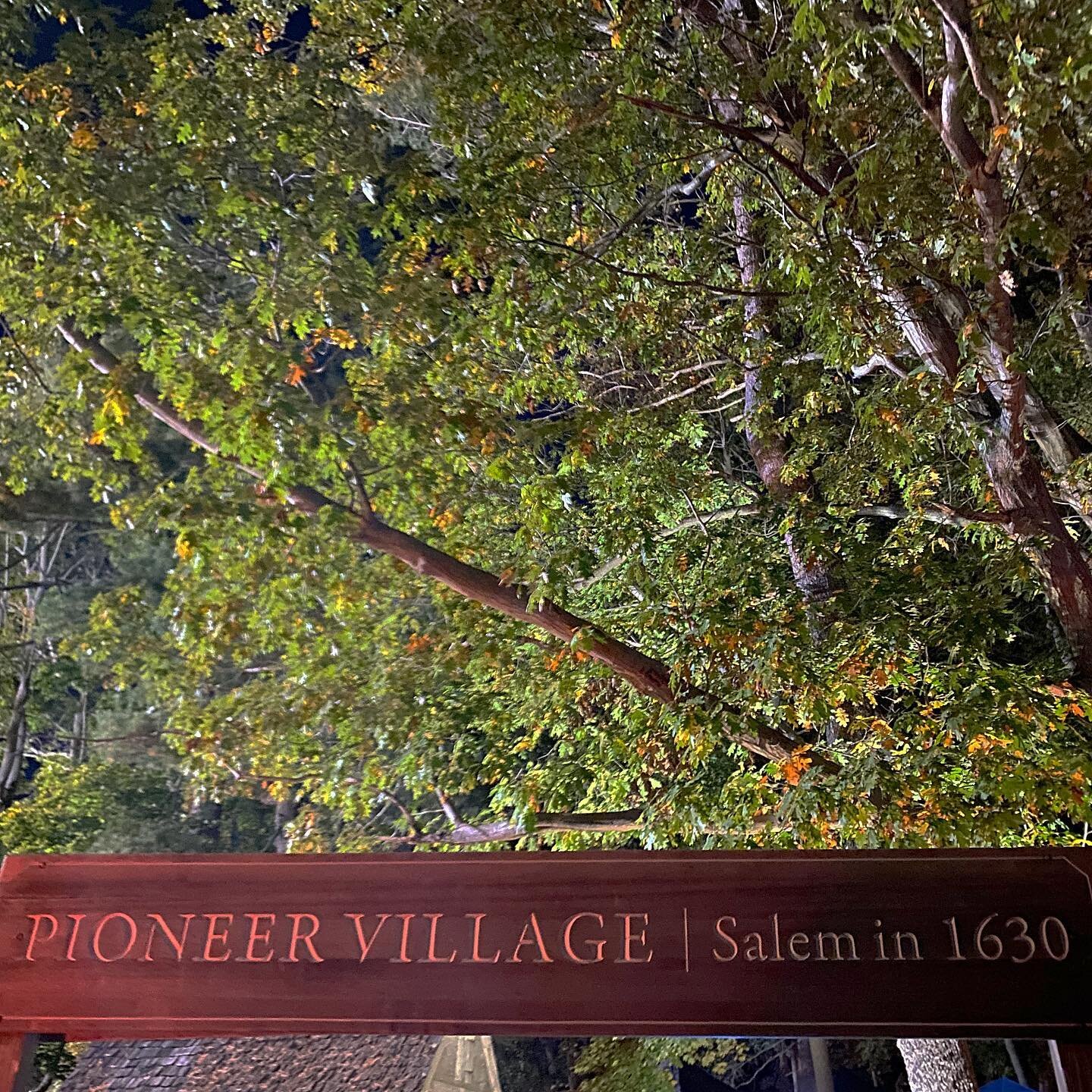 Made the trip to @salemnightfaire this season. It was held at the enchanting Salem Pioneer Village where Hocus Pocus was filmed! We were totally immersed in the Halloween spirit with all of the performers, artists and vendors. Even got stuck in line 