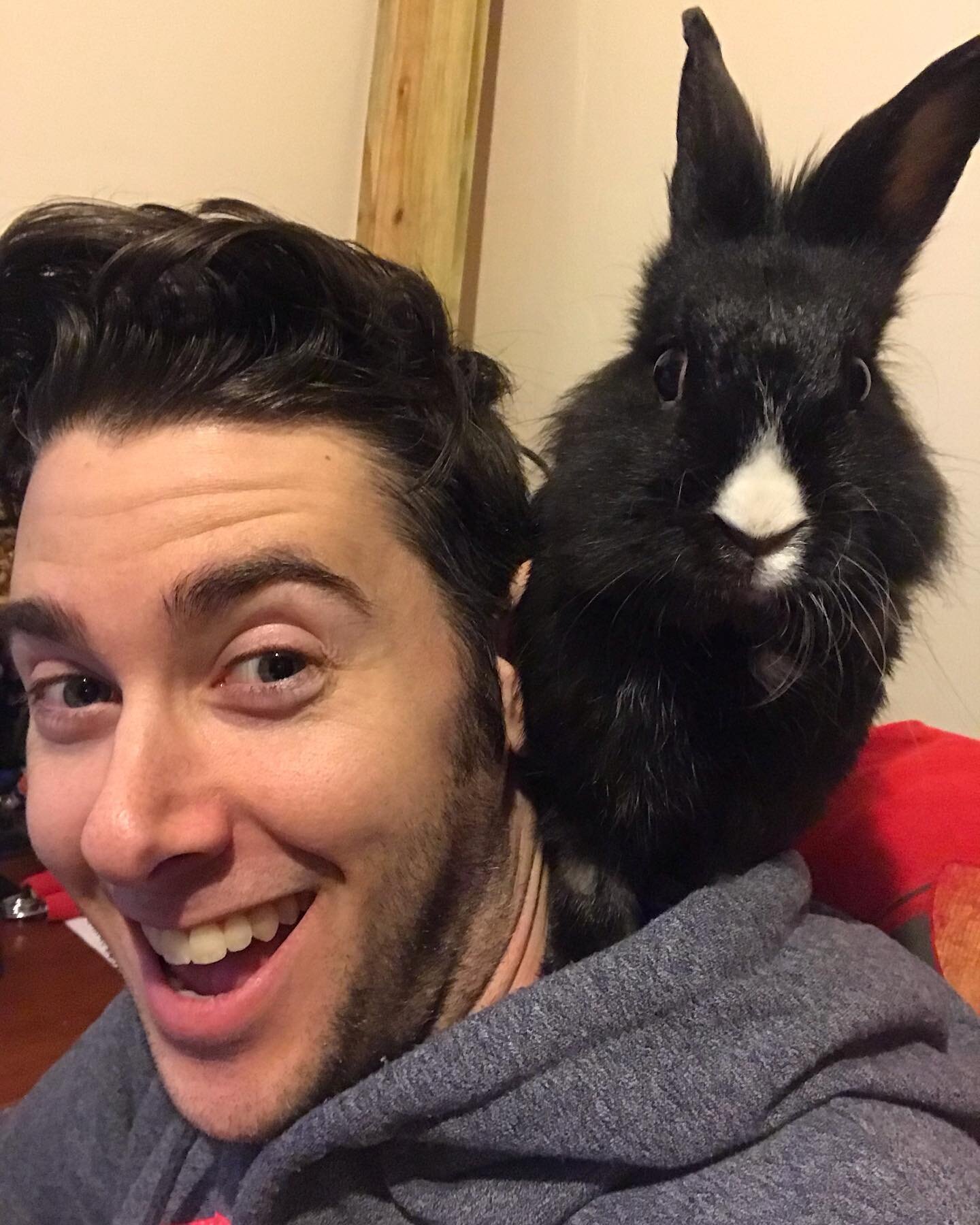 Happy Year of the Rabbit!

#HappyLunarNewYear #LunarNewYear #🐰 #YearoftheRabbit #2023 #MagicRabbit #Magician #rabbit #pet #animal #bunny #rabbit #petsofinstagram #petstagram #cuteanimals
#rabbitsofinstagram #bunniesofinstagram #rabbitstagram #instab