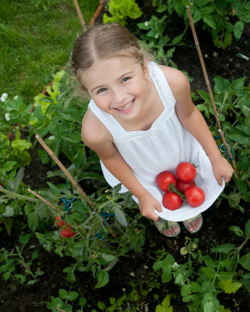 shutterstock_80010733.jpg
