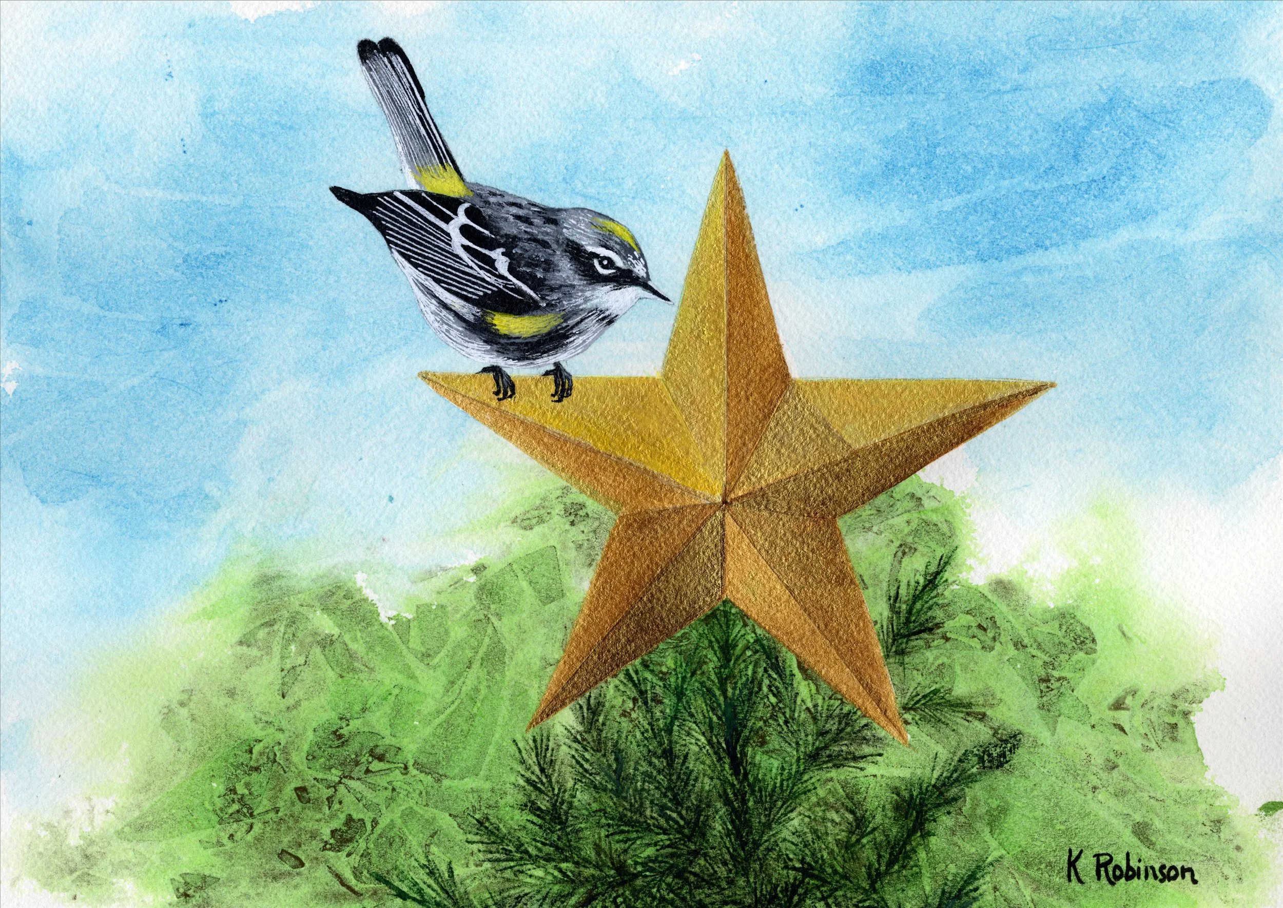 Warbler Xmas Star.jpeg