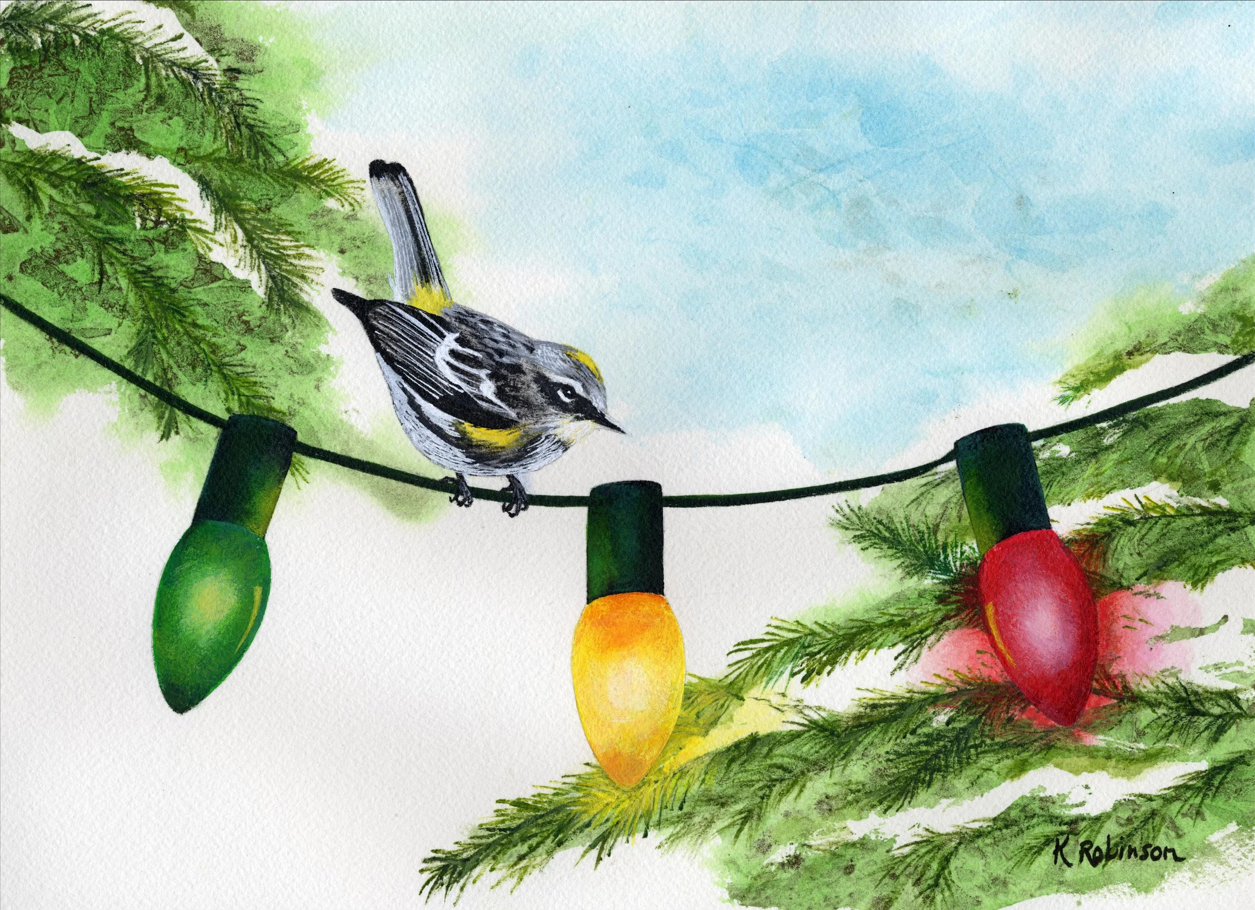 Warbler Xmas Lights.jpeg