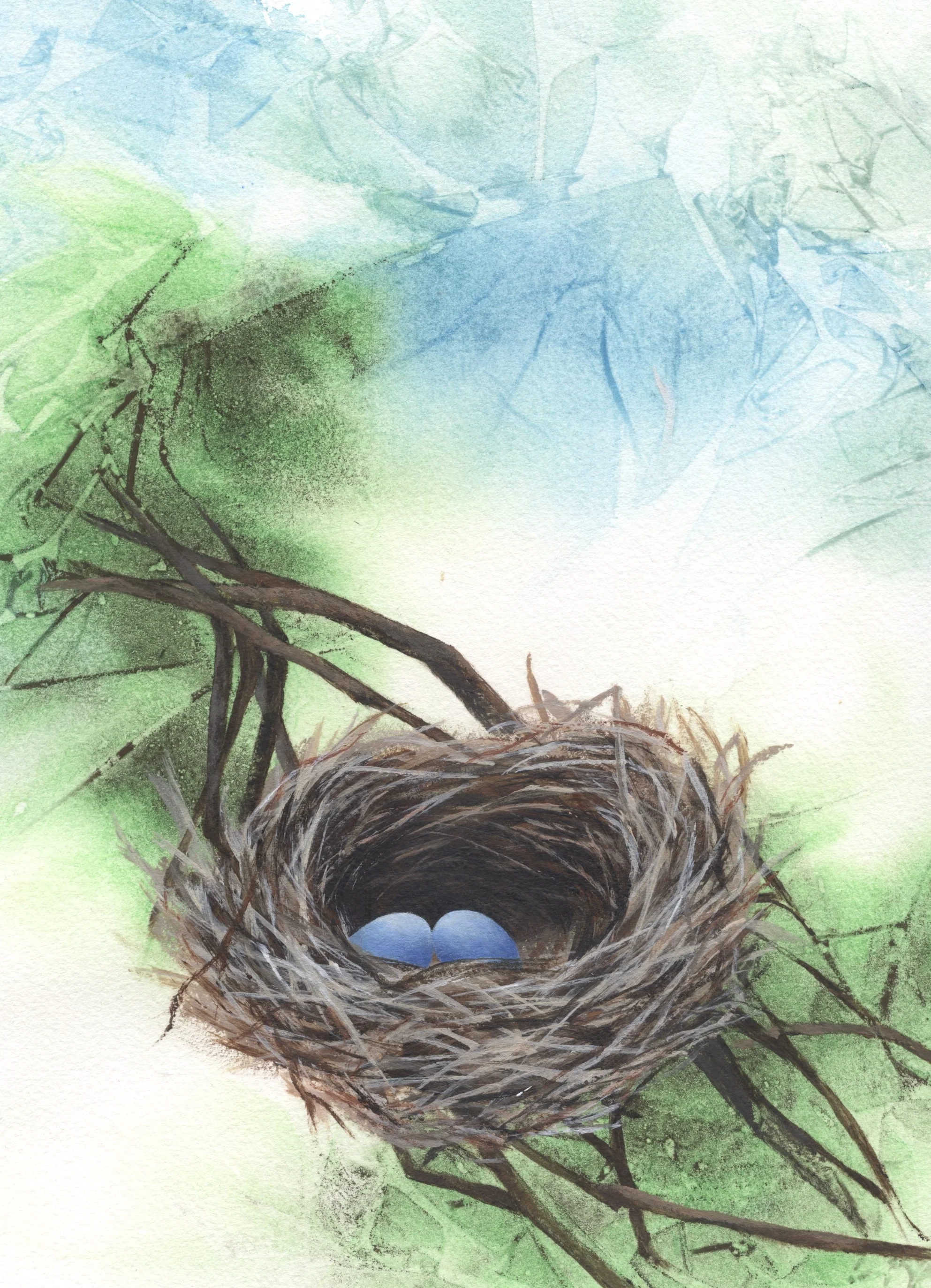 Nest&Eggs.jpg