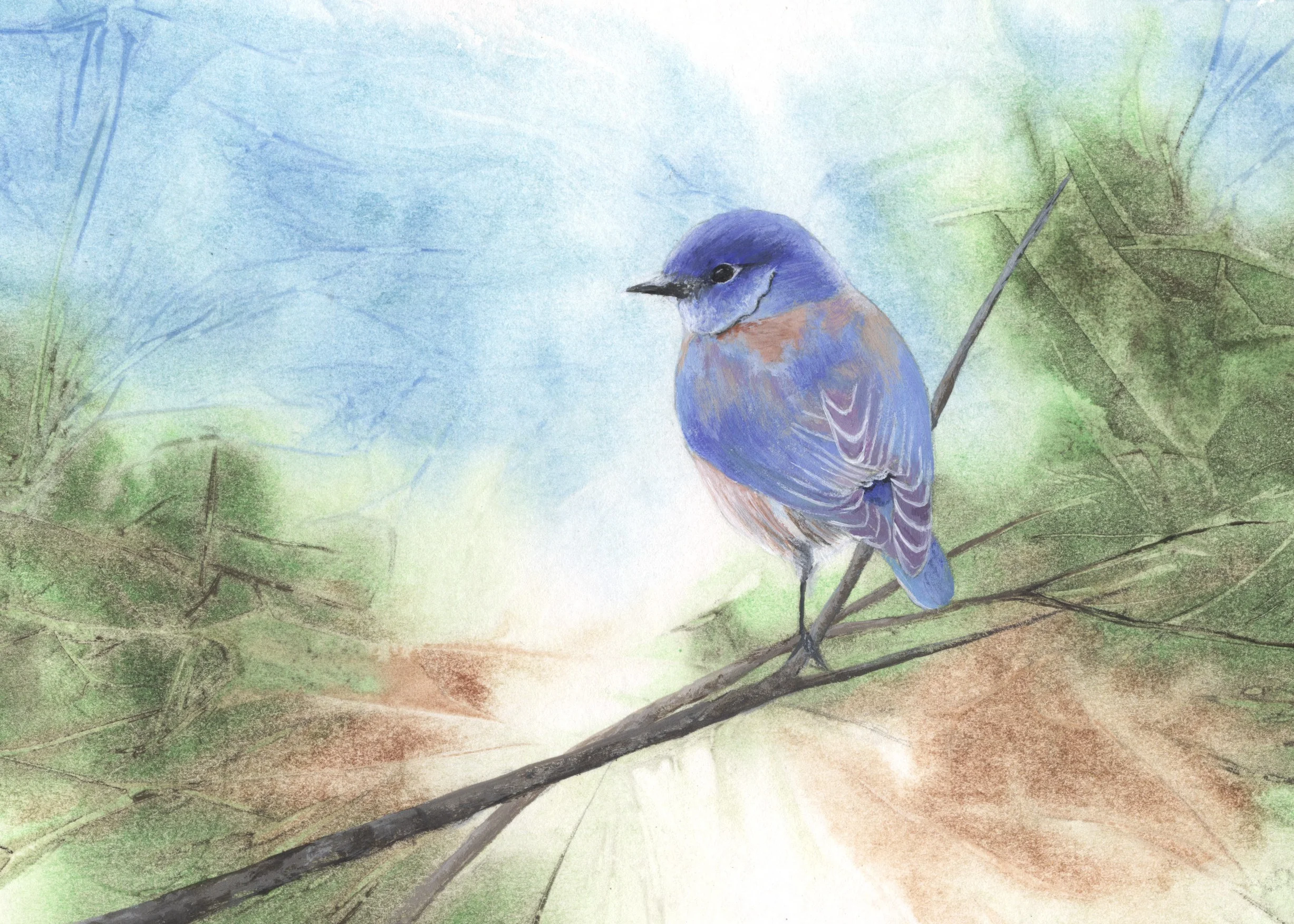 Bluebird5x7.jpg