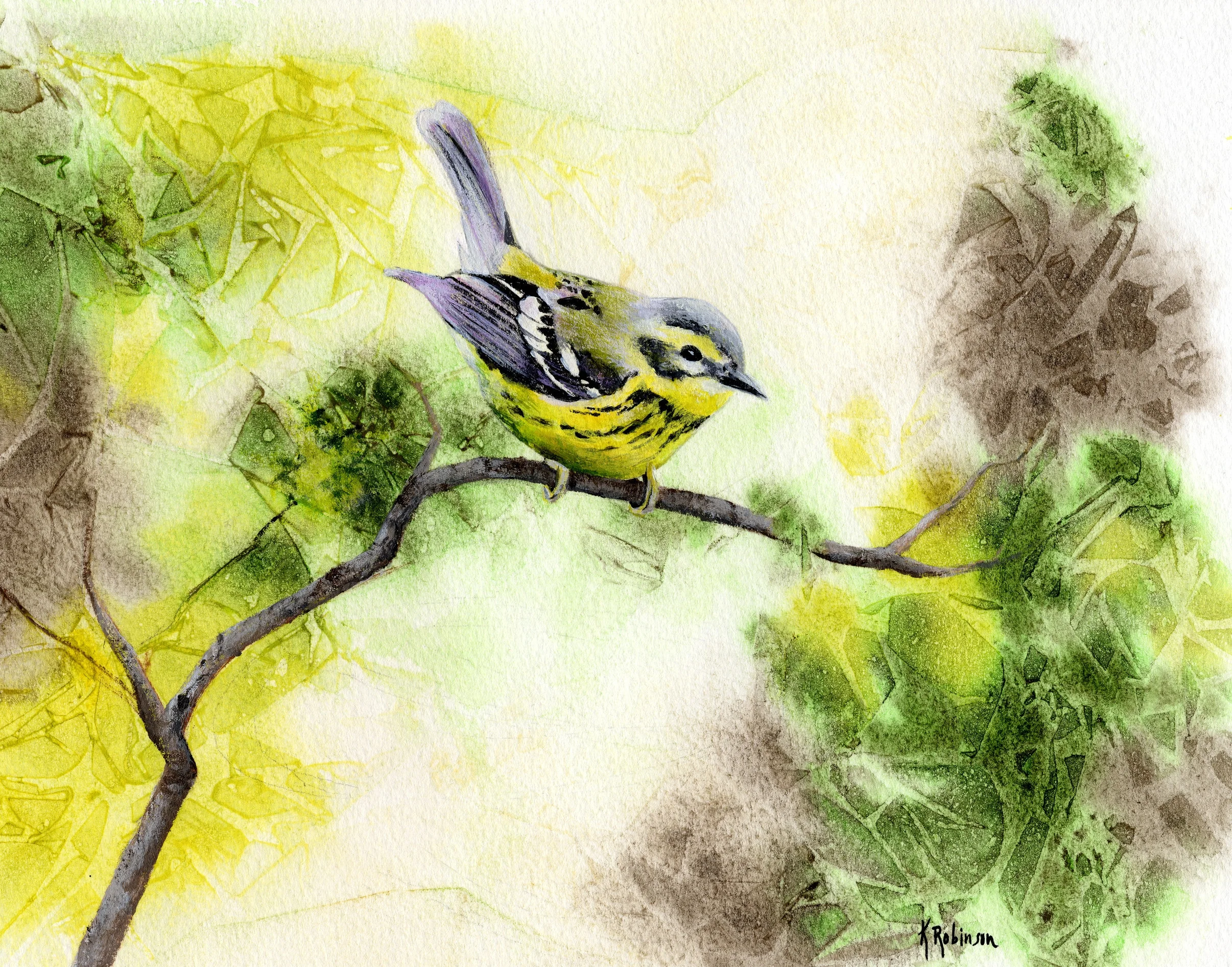 Warbler 2.jpg