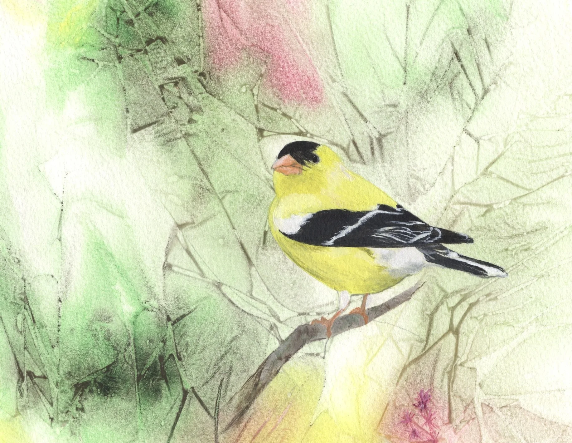 Goldfinch.jpg