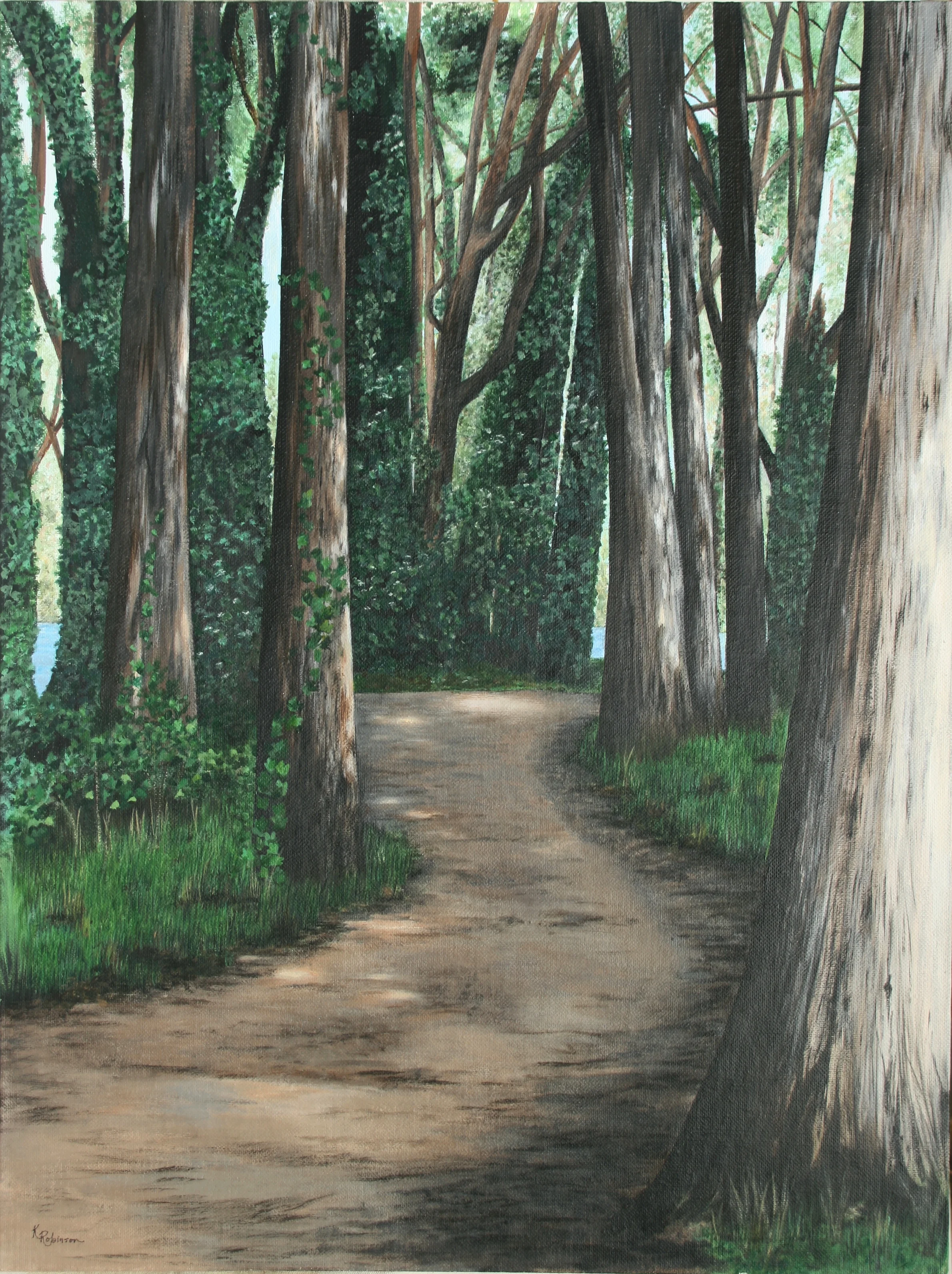 Forest Path #1