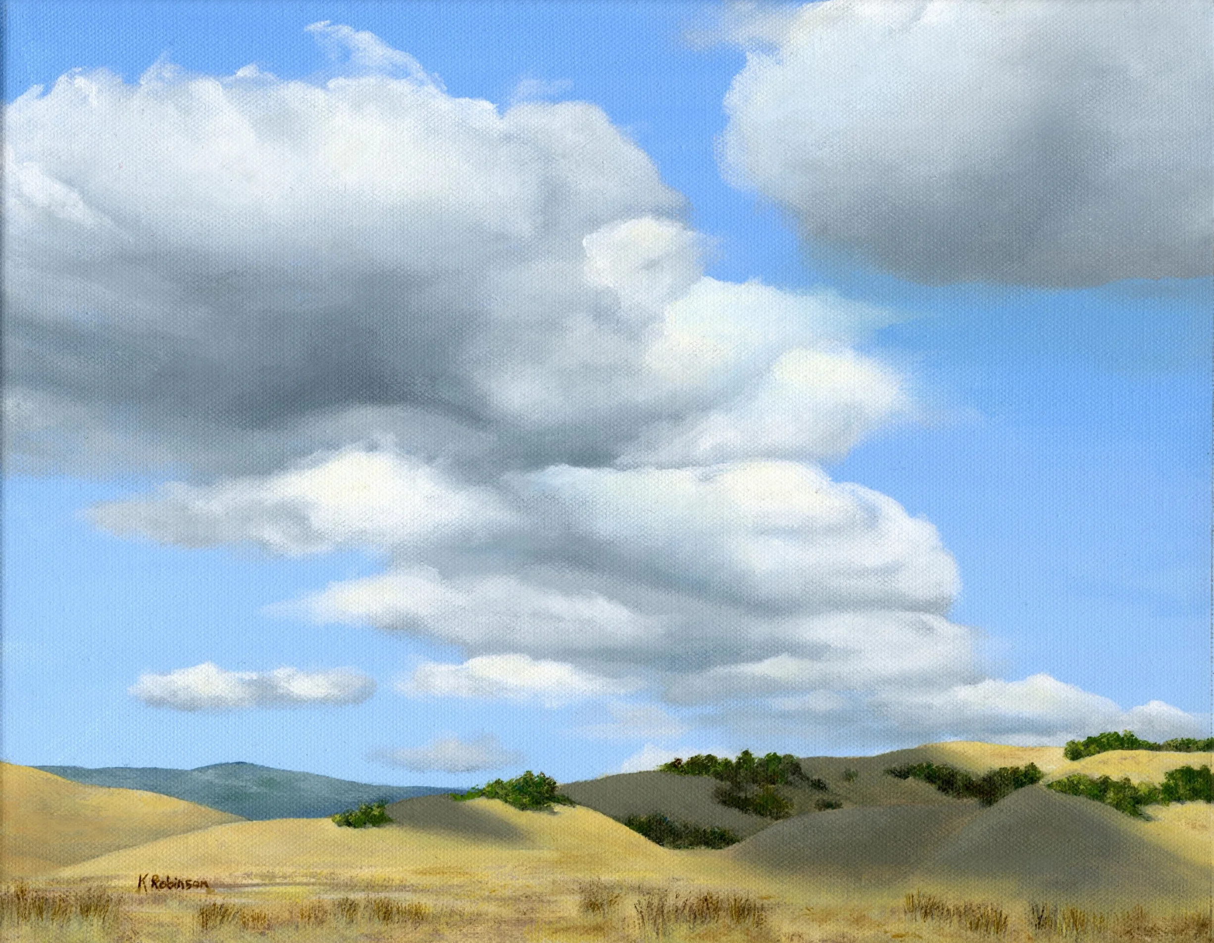 Cloud Shadow #1