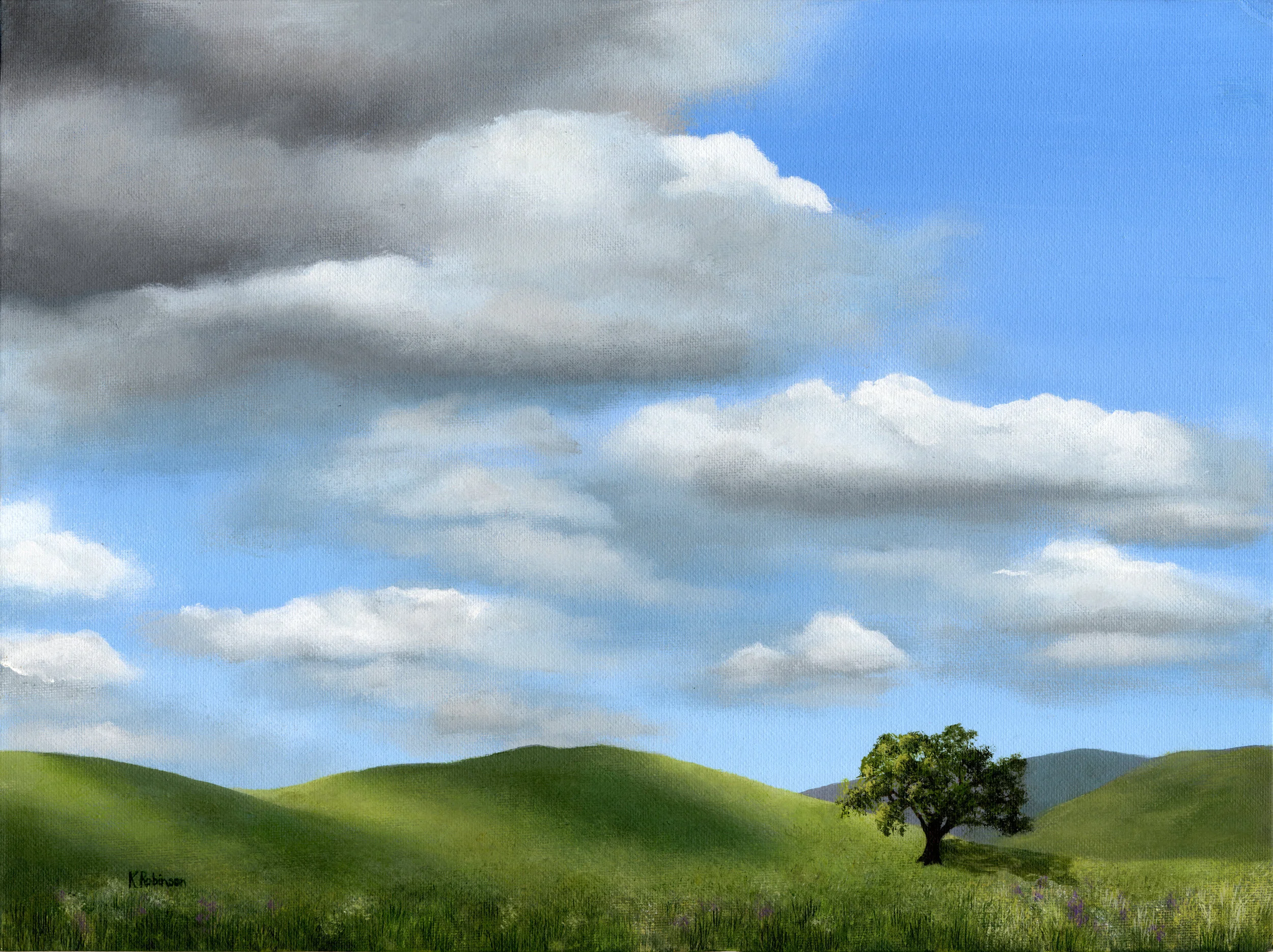 Cloud Shadow #2