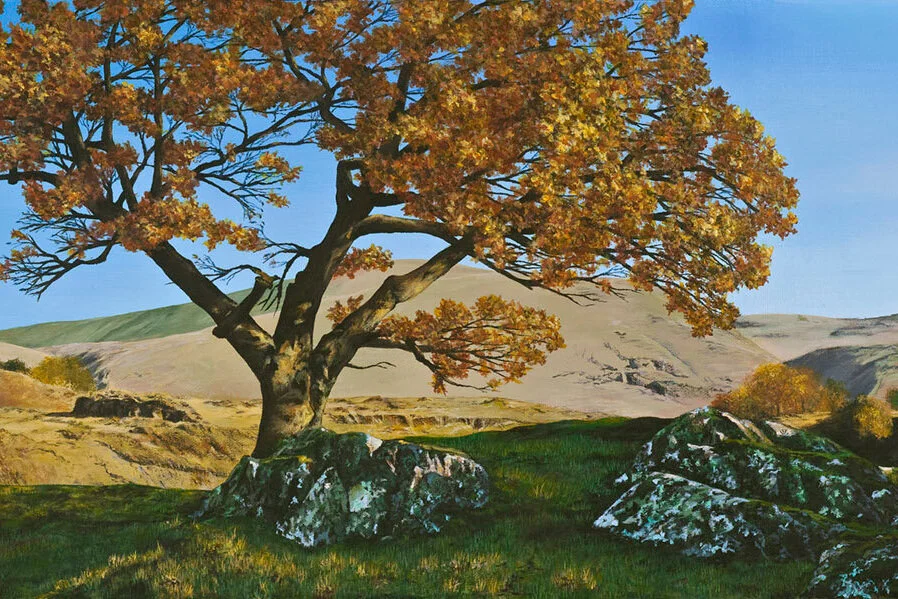 LoneTree.12x30.jpg