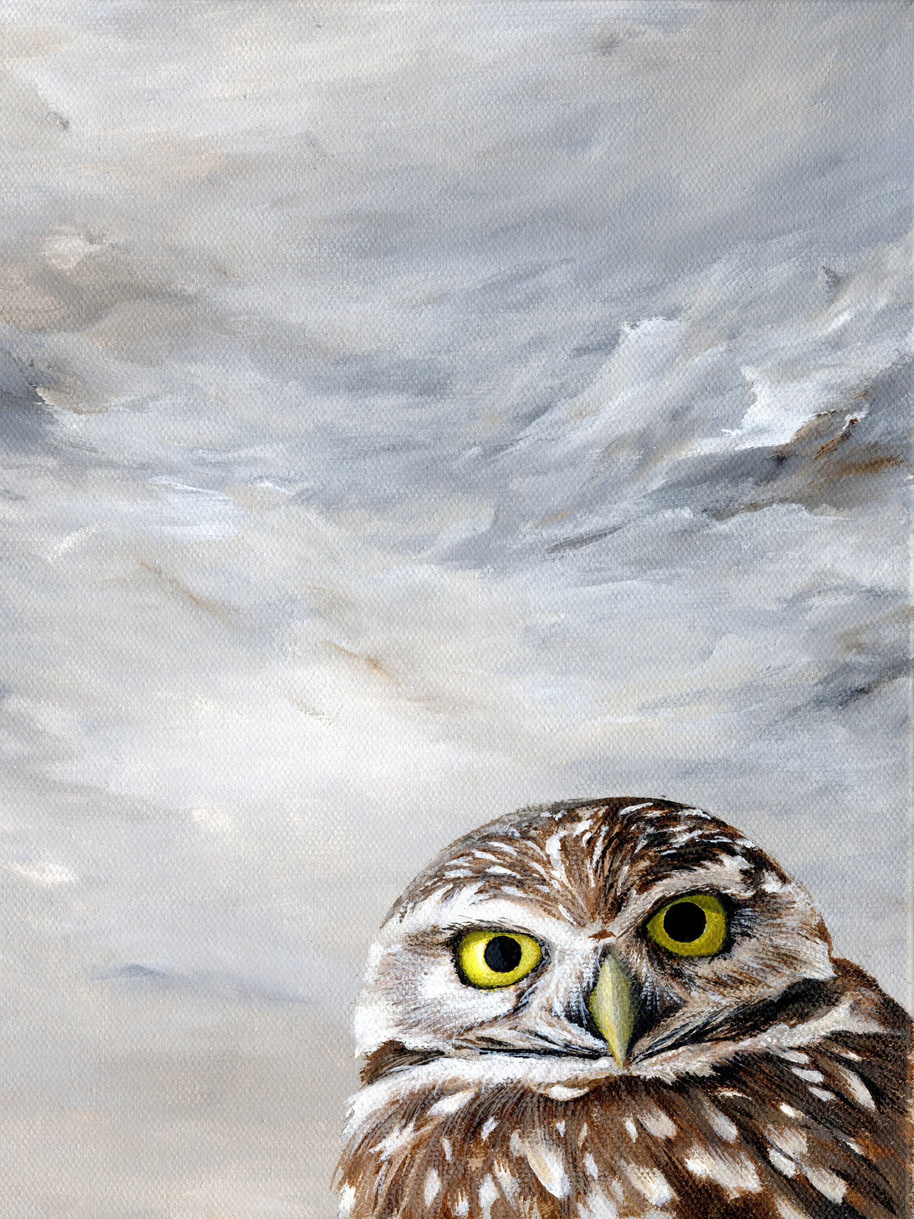 Peeking+Owl+%232.jpg