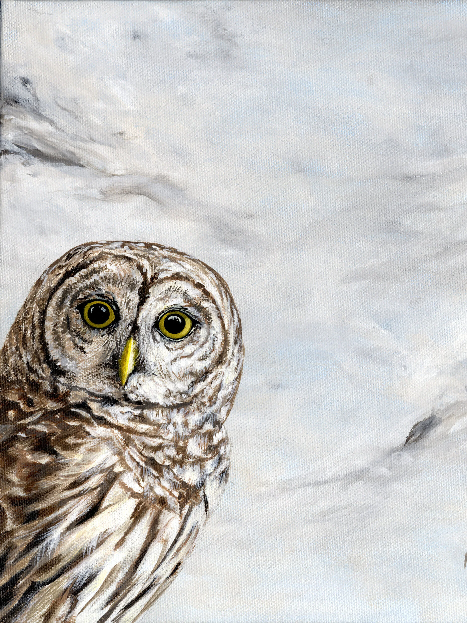 Peeking+Owl+%233.jpg
