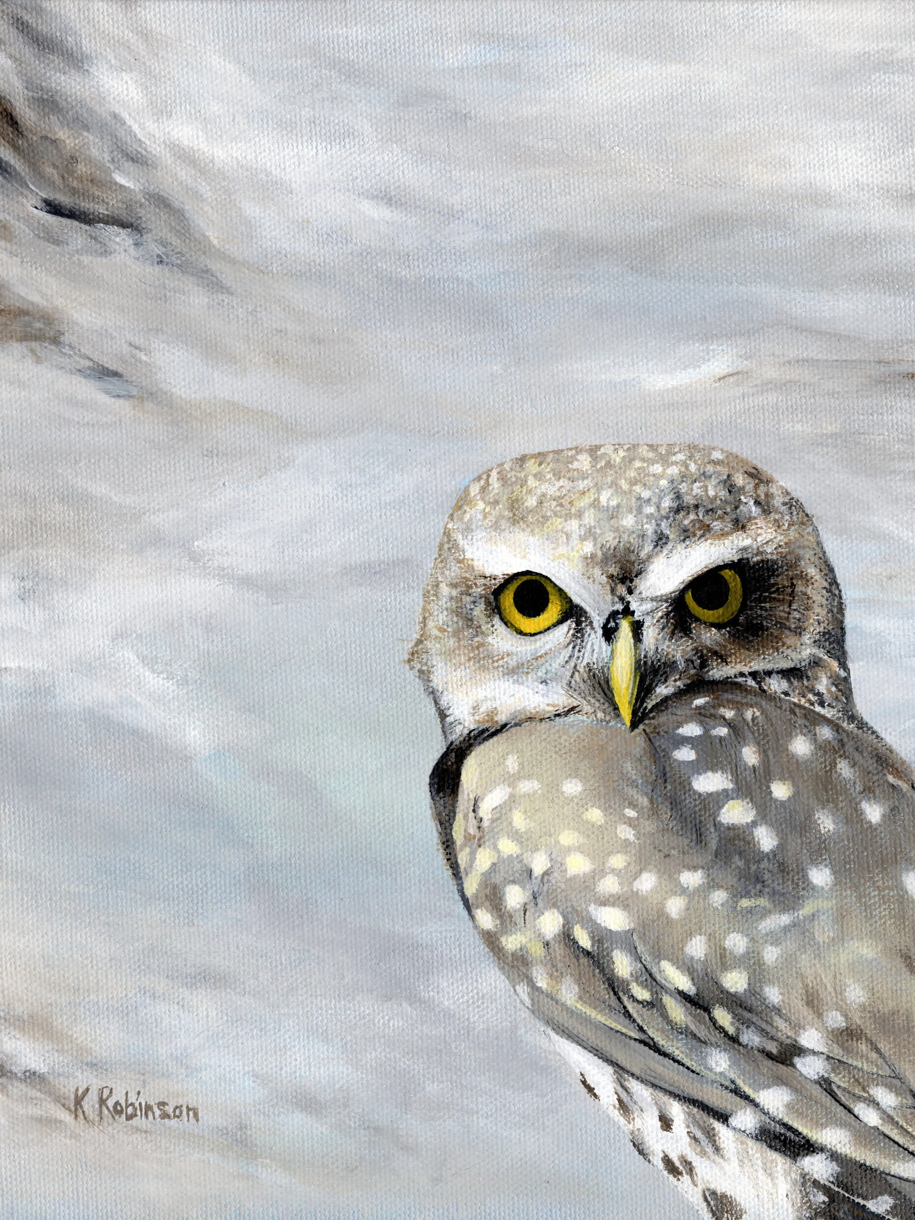 Peeking+Owl+%235.jpg