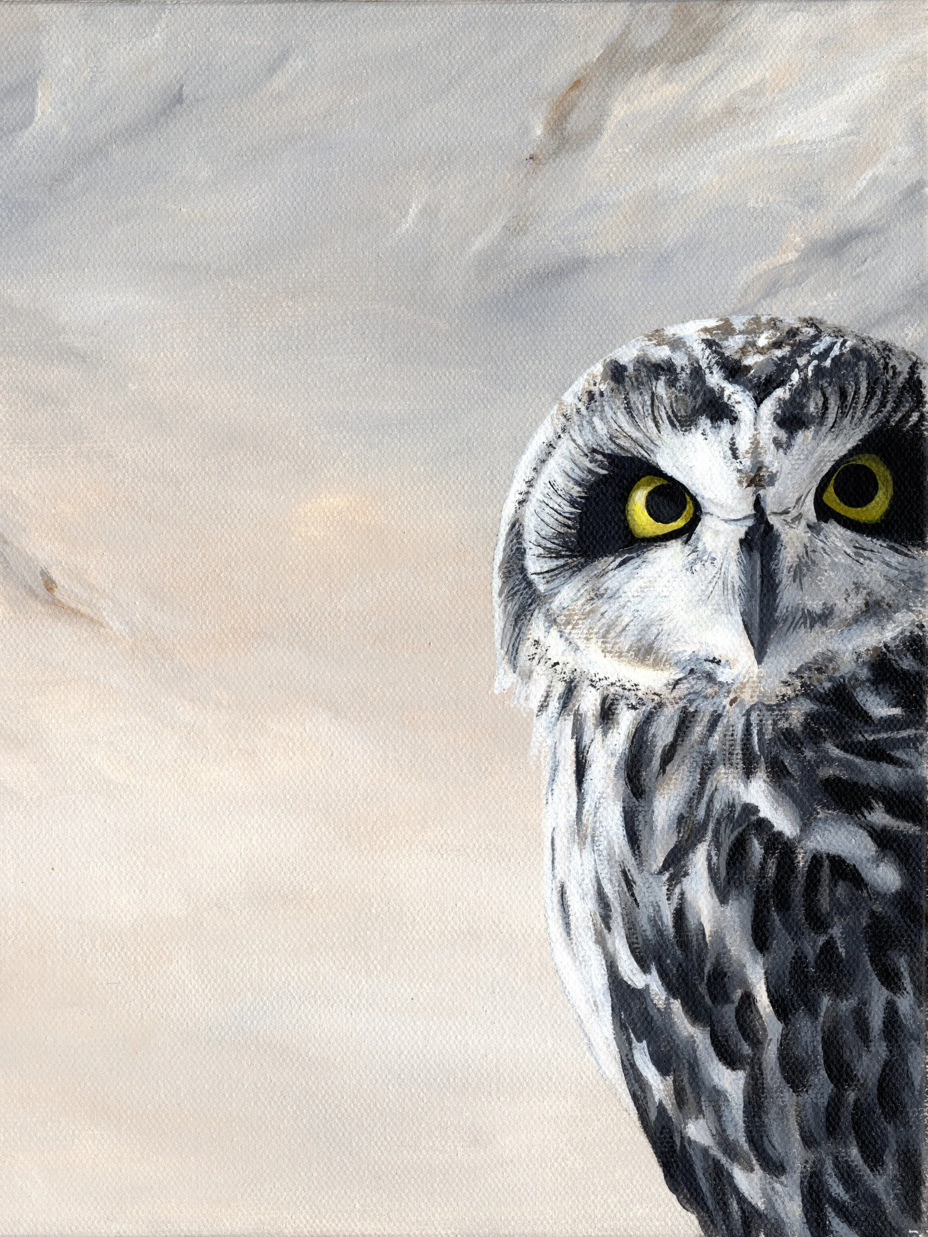 Peeking+Owl+%236.jpg