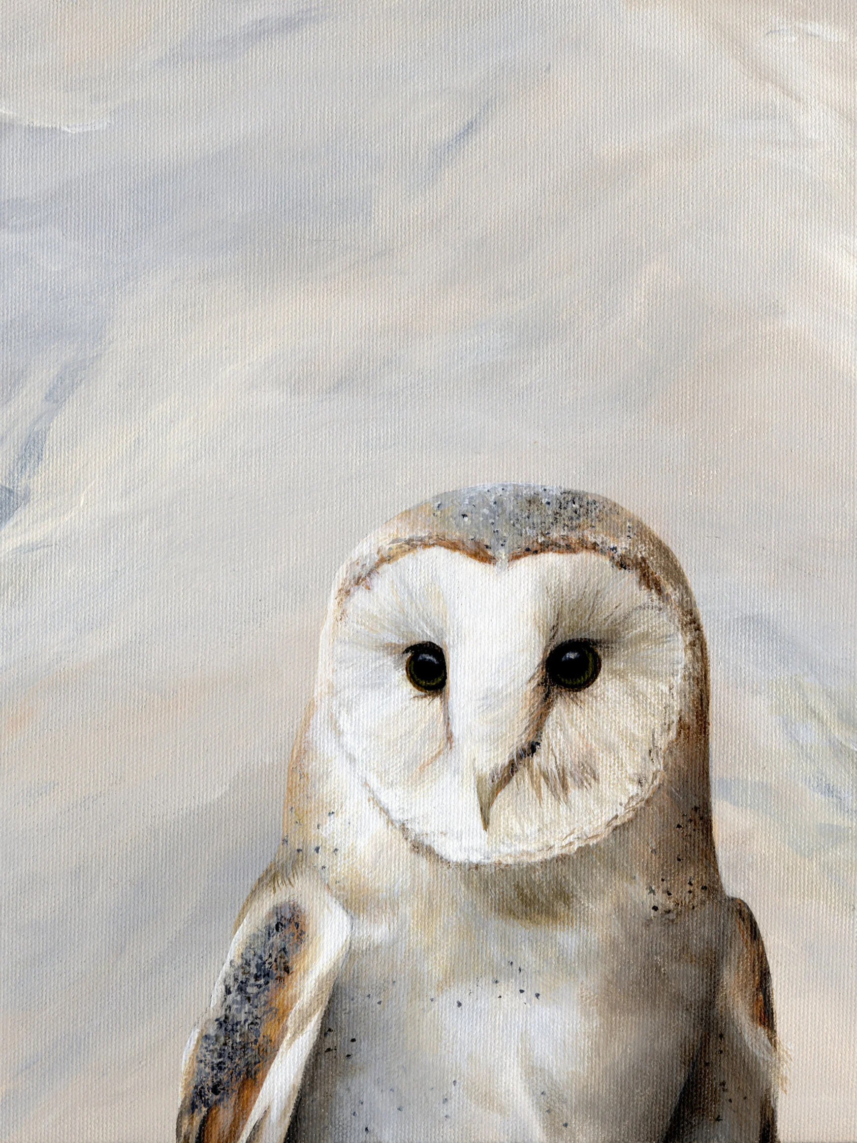 Pkng+Bird+13+Barn+Owl.jpg