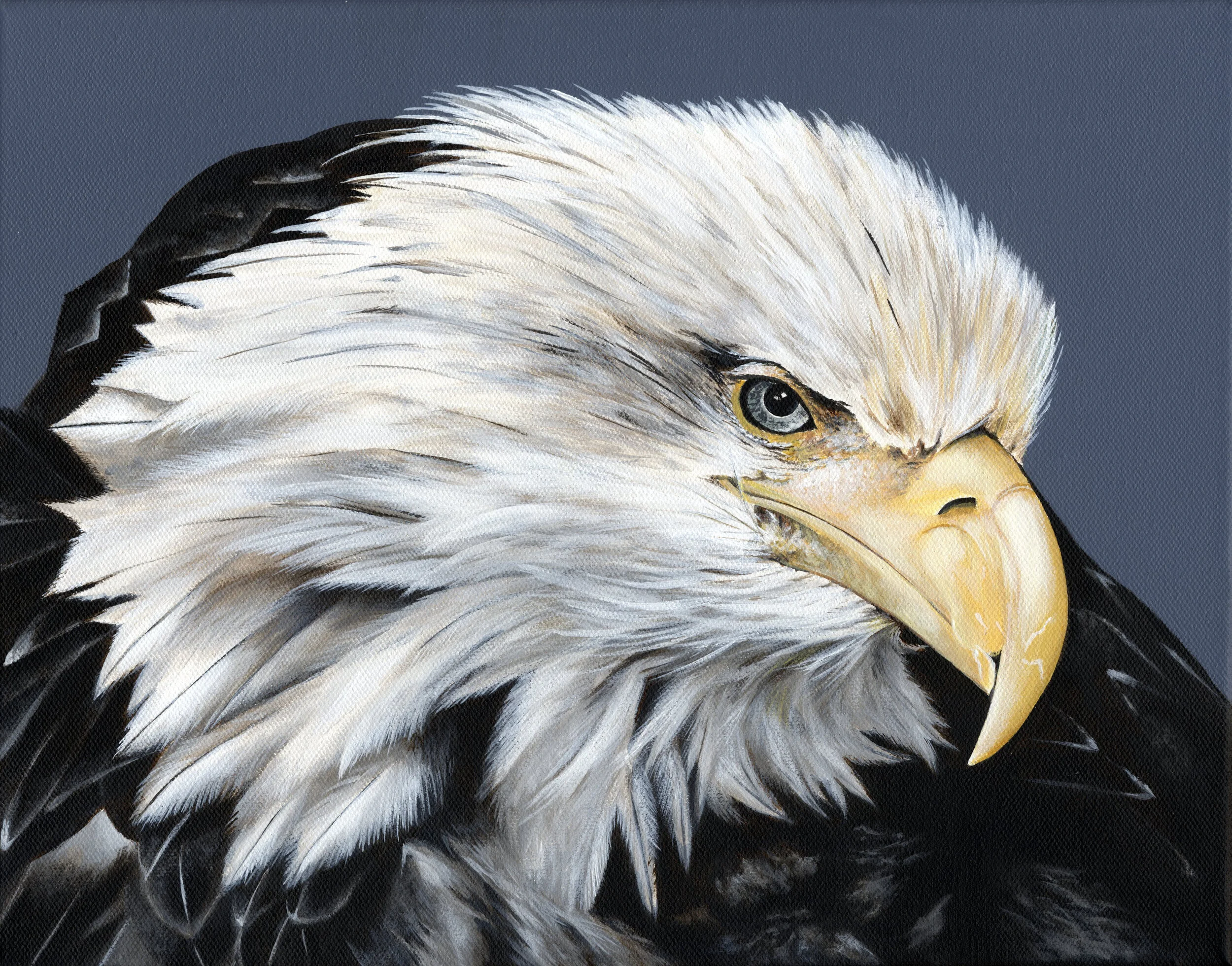 Old Eagle.jpg