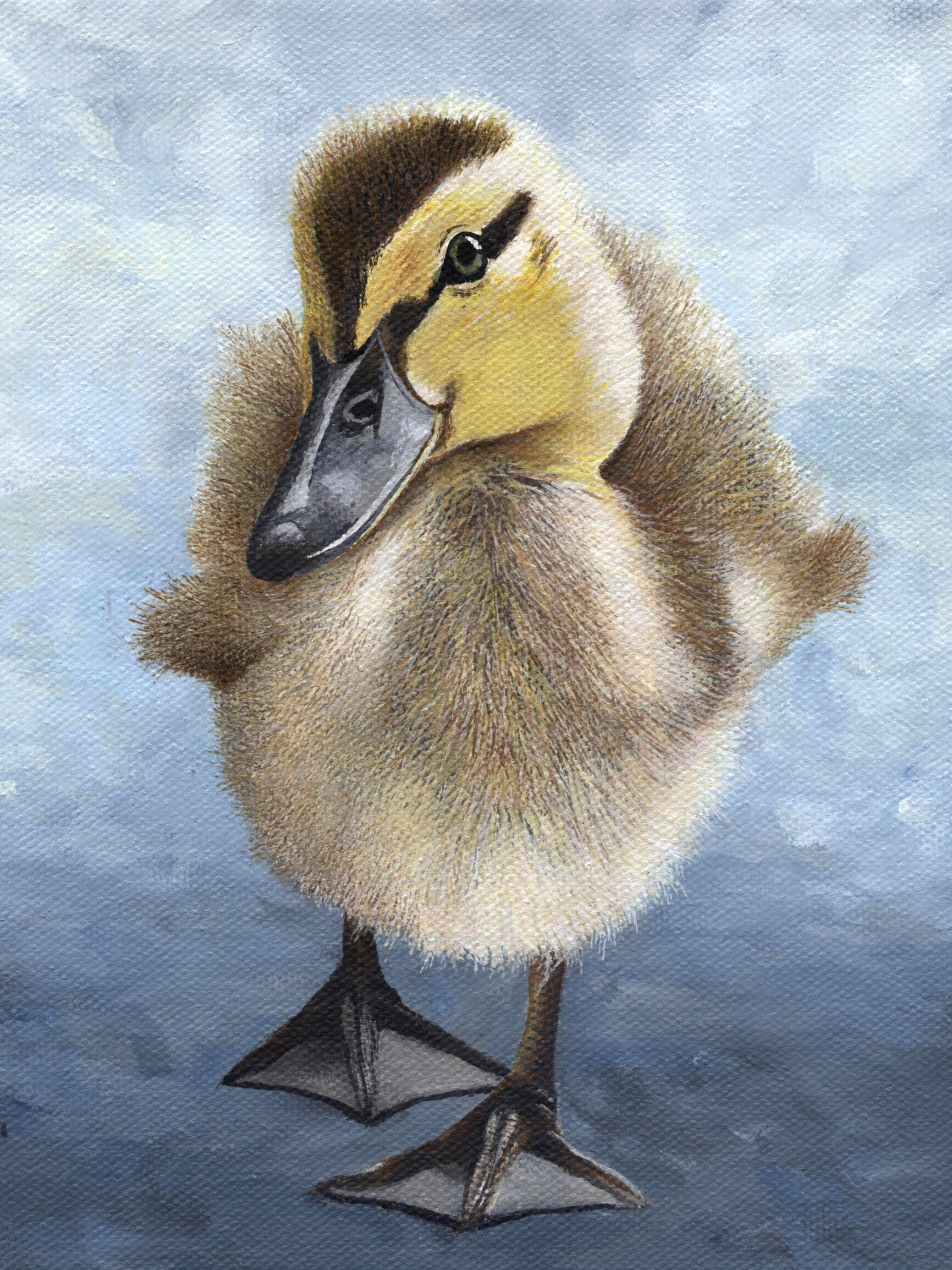 Duckling+8x8.jpg