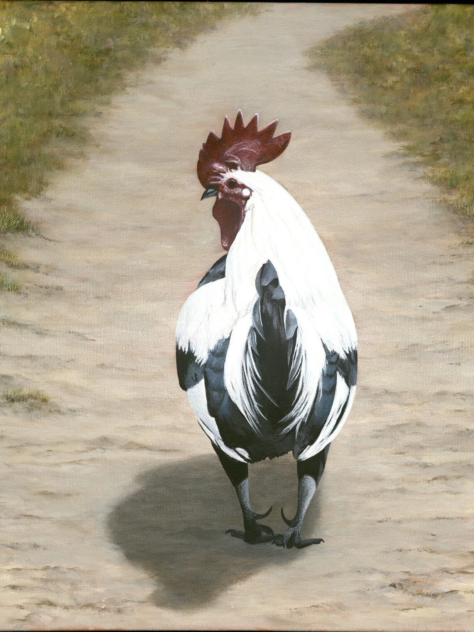 Rooster Tail