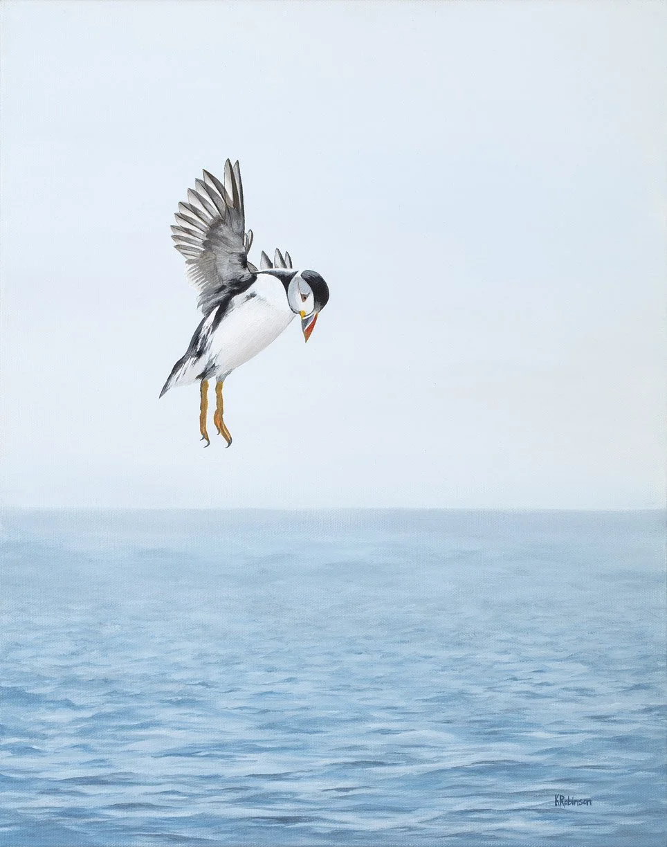 Puffin 20x16.jpg