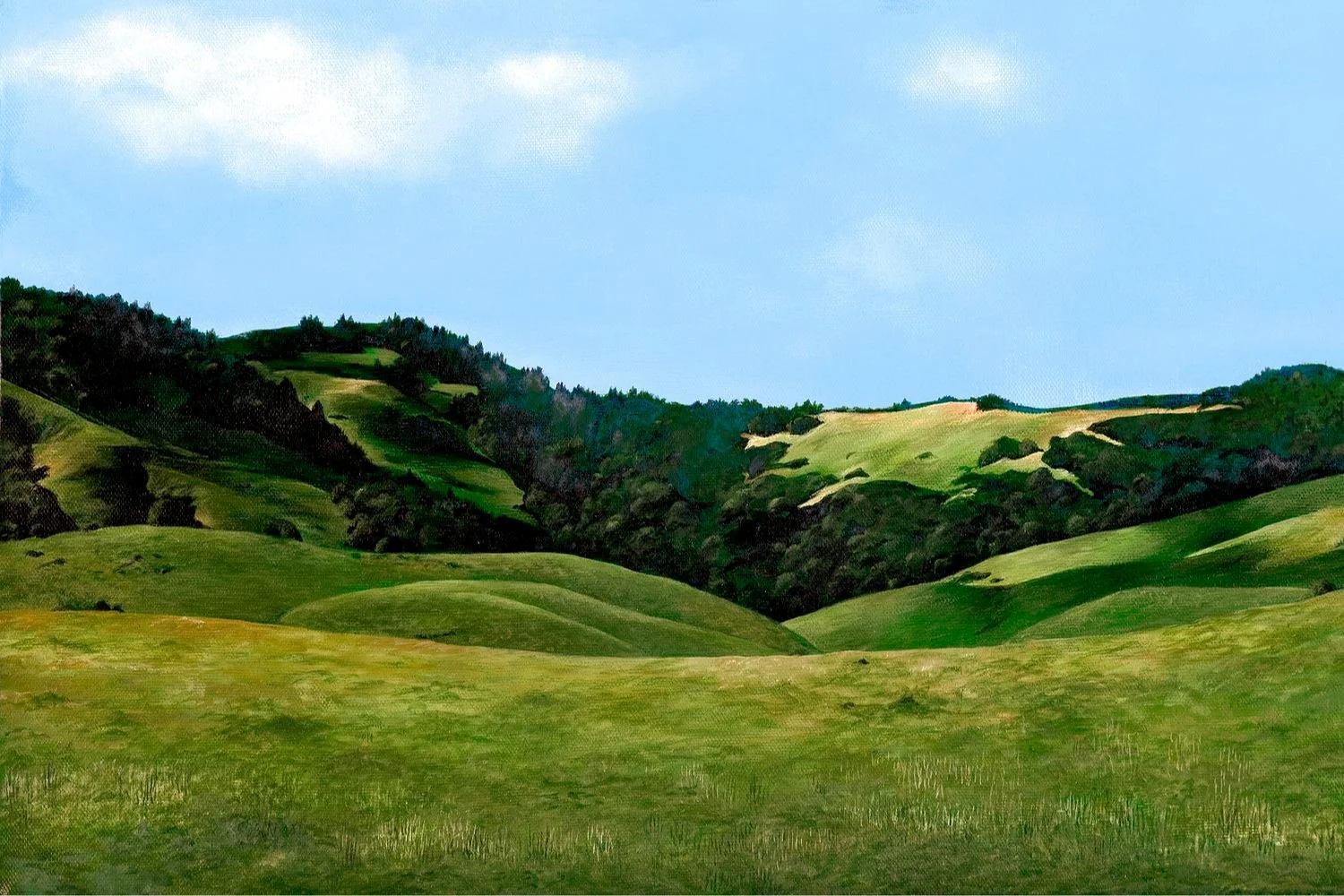 Big+Rock+Ridge+%28enhanced%29.jpg