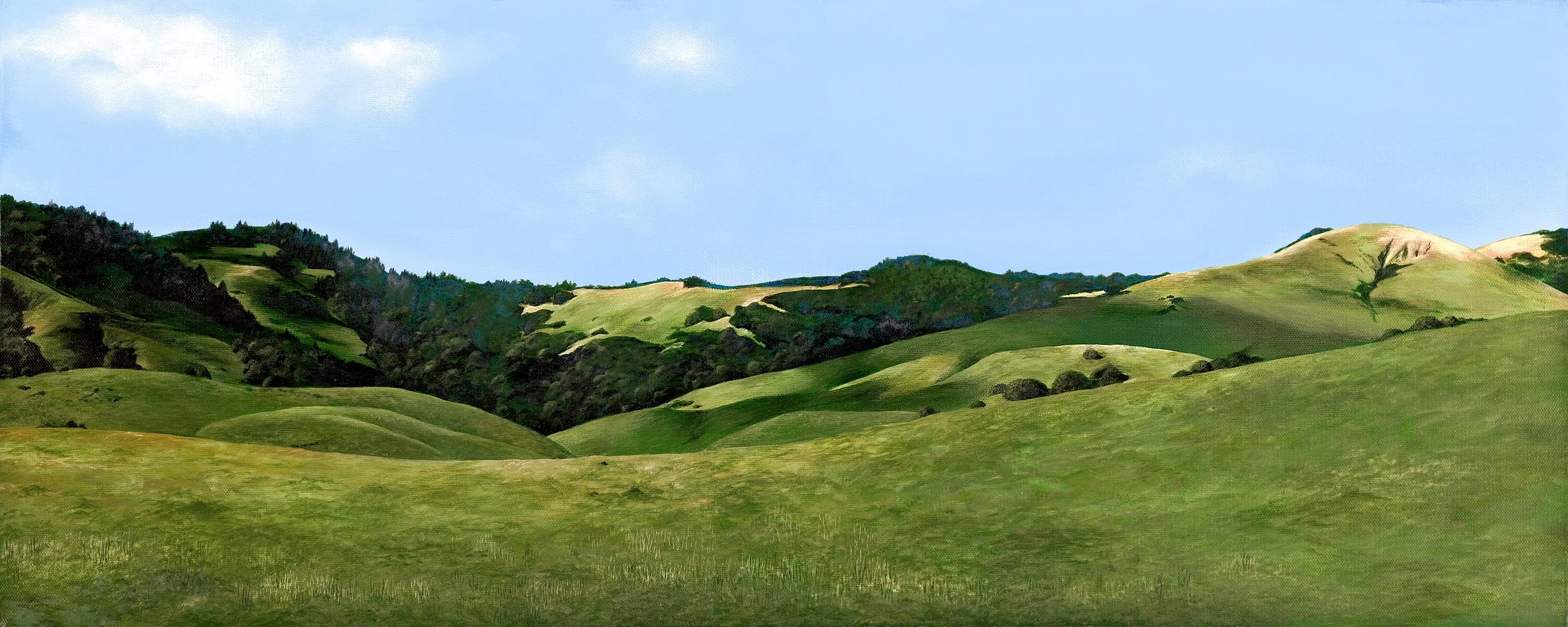 Big Rock Ridge (enhanced).jpg