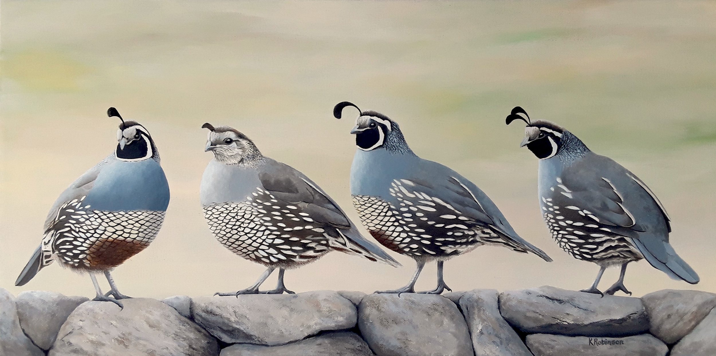 California Quail Foursome