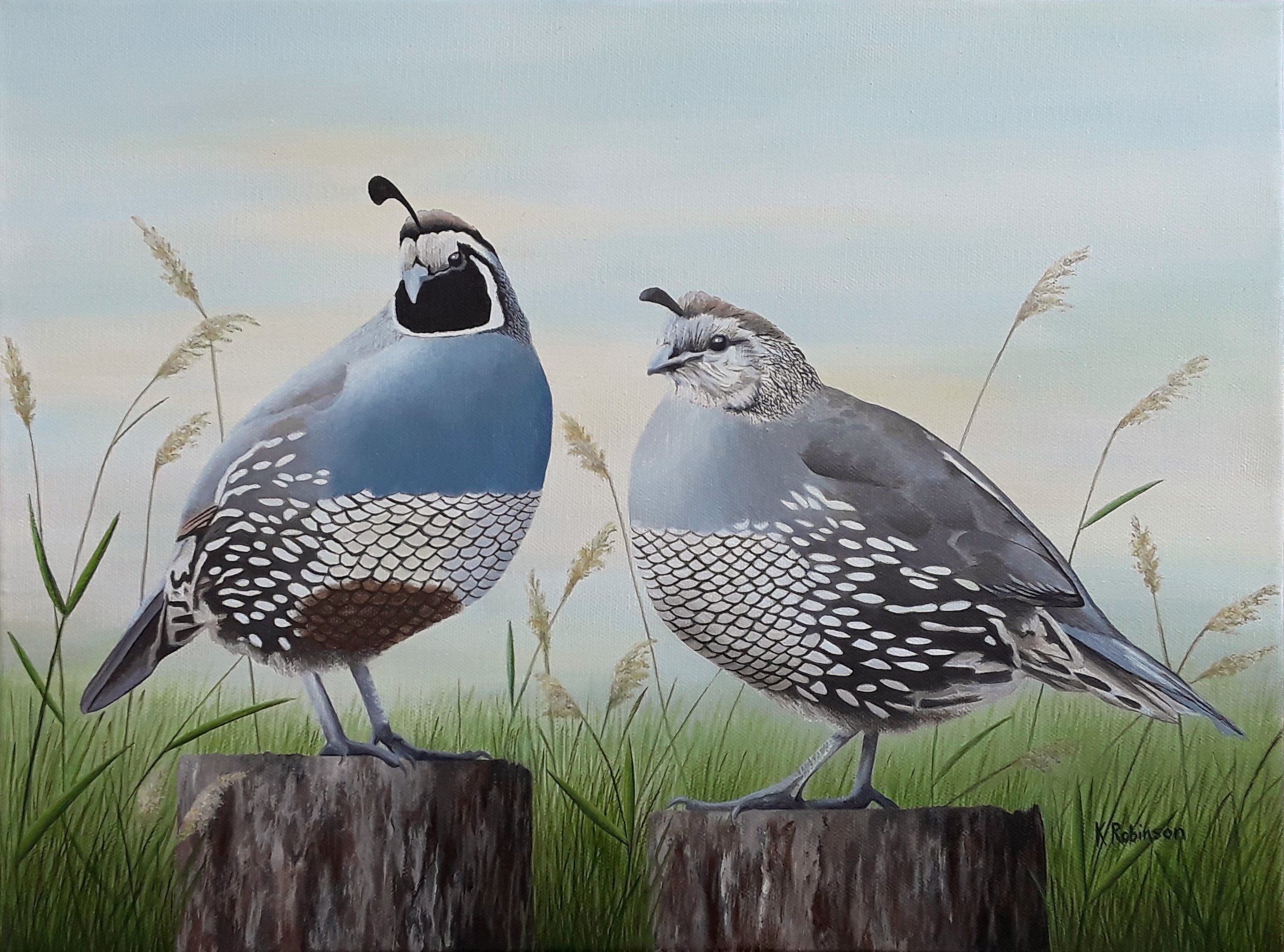 California Quail Pair