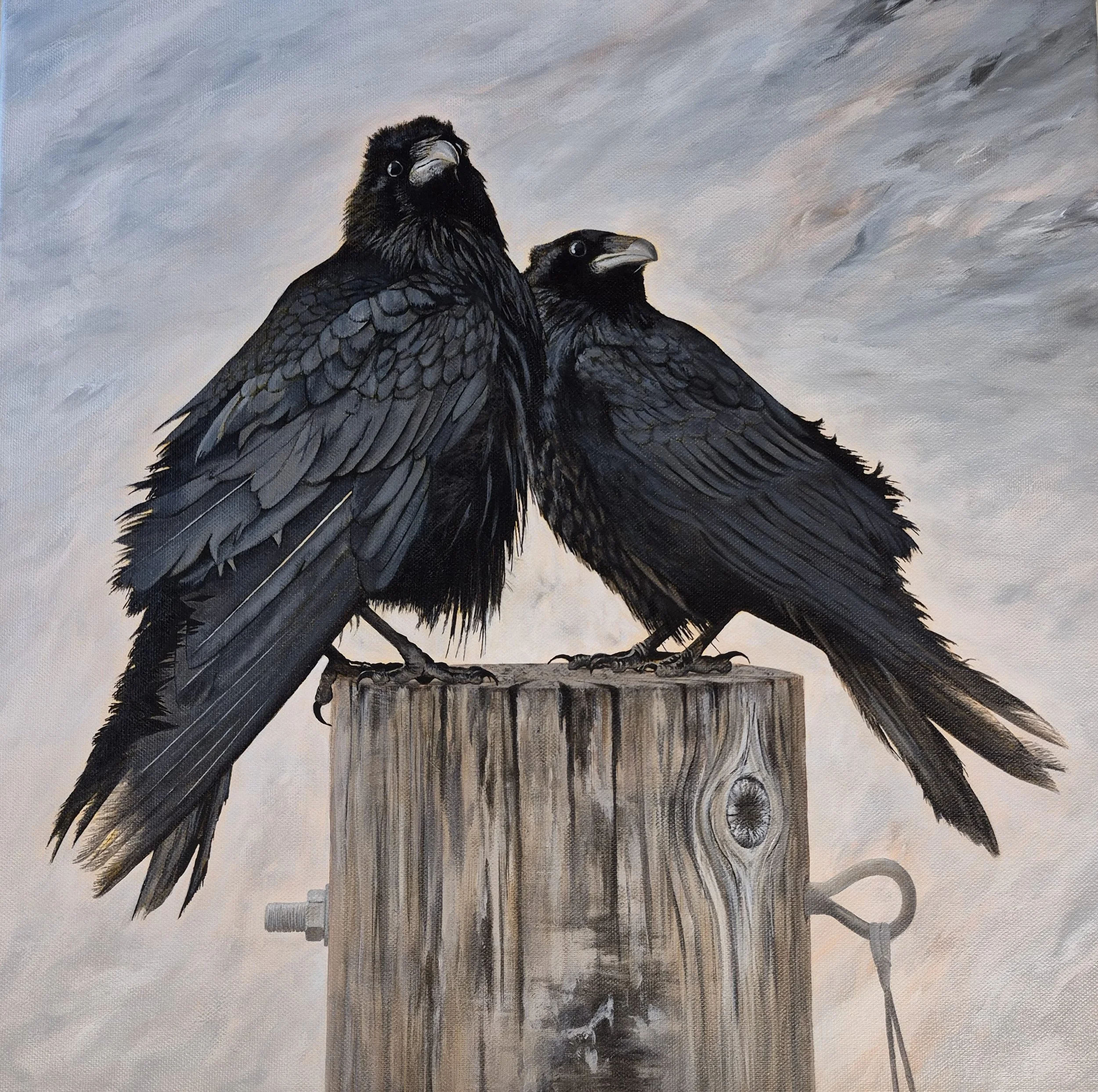 Ravens.jpg
