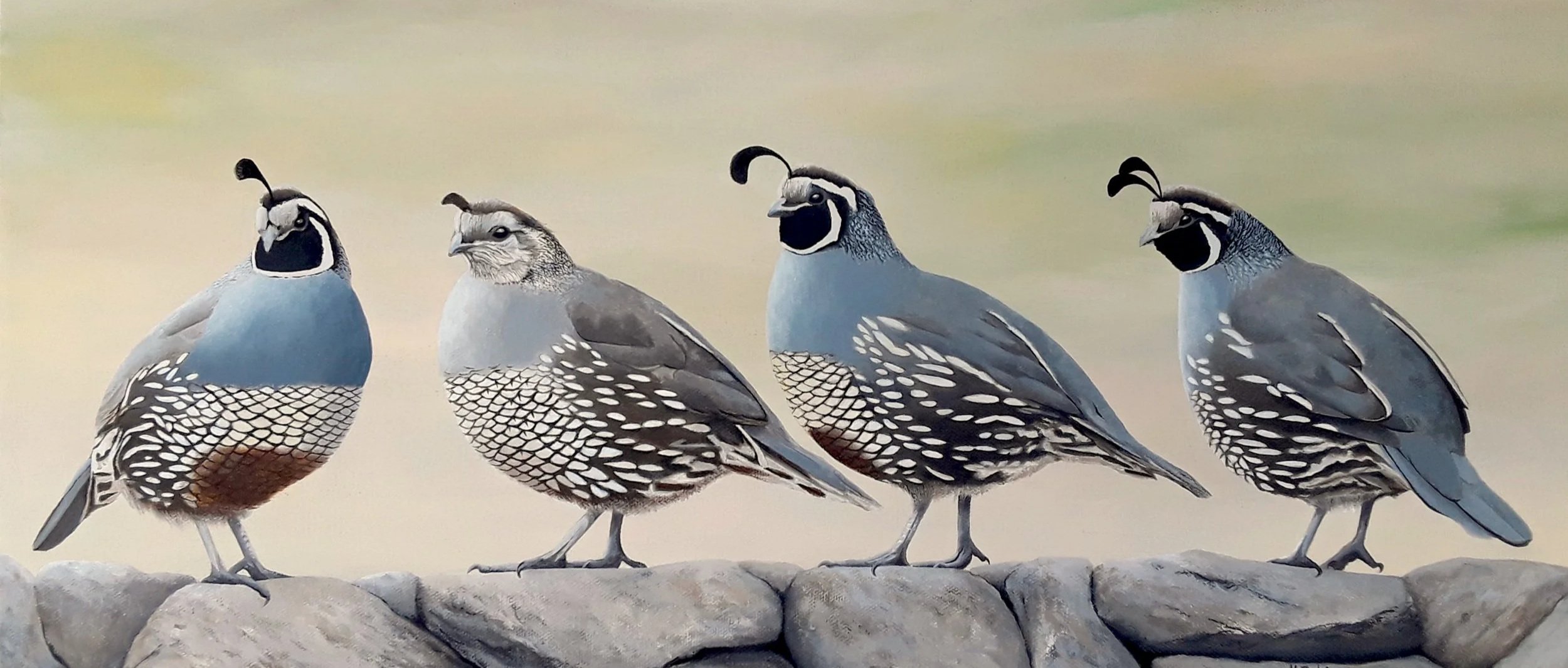 Quail+Foursome.jpg
