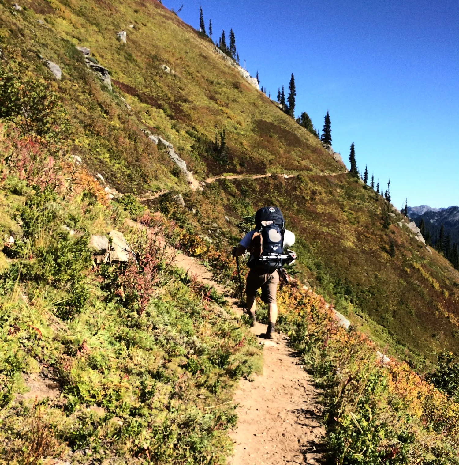 Overnight in the Woods: What to Pack When Backpacking
