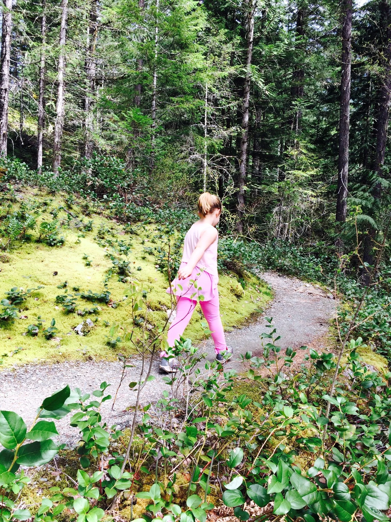A Must Stop for Hikers going Over the North Cascades Highway!