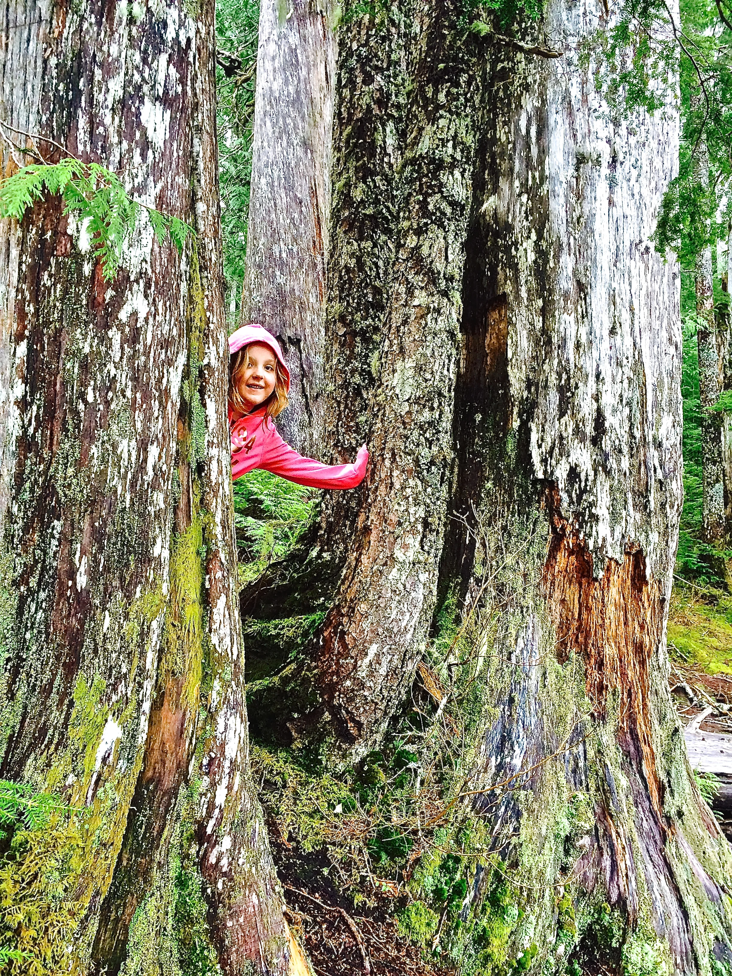 Lost Kid on a Hike... What do you do?