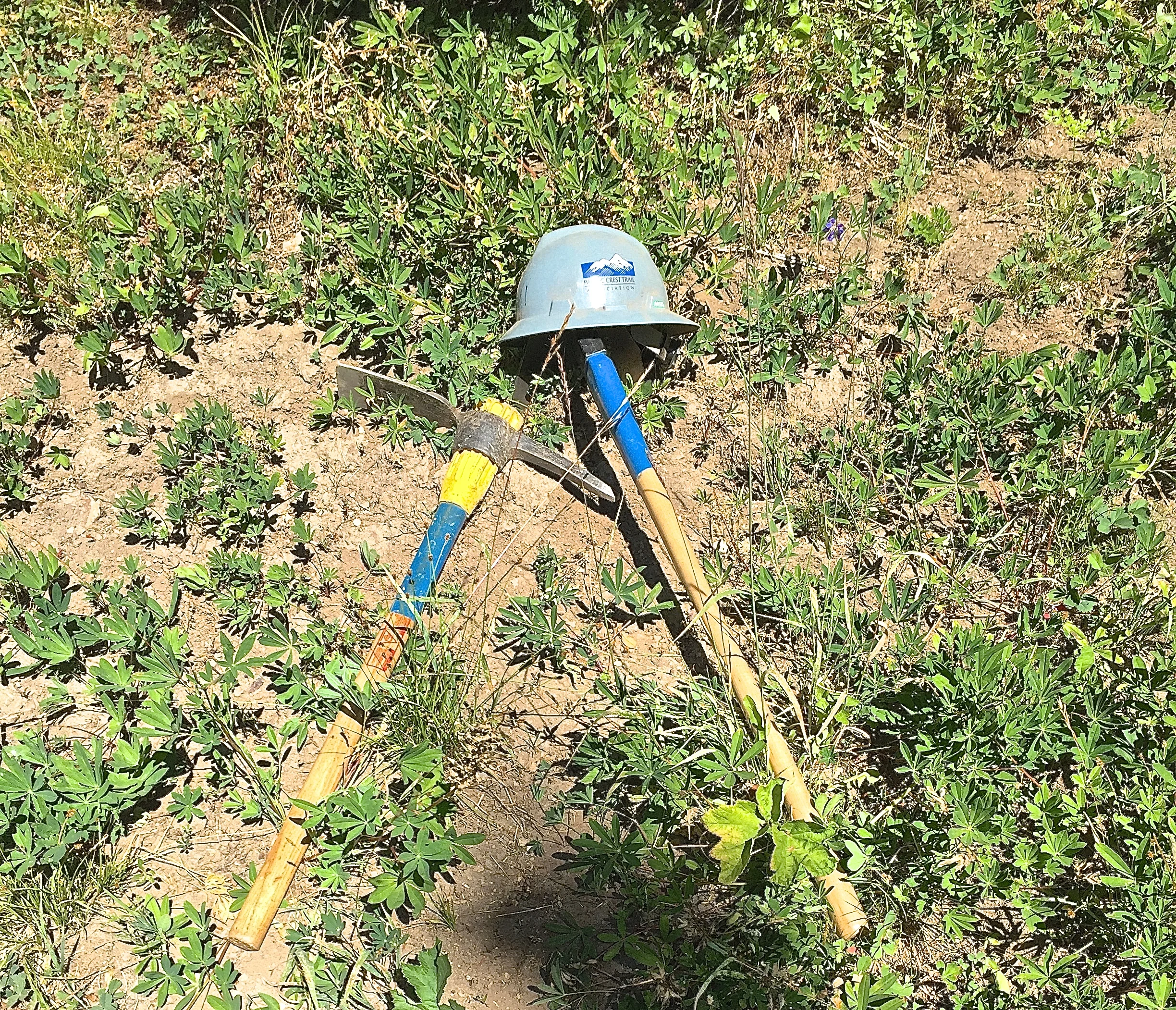 PCTA Work Trip Near Big Crow Basin