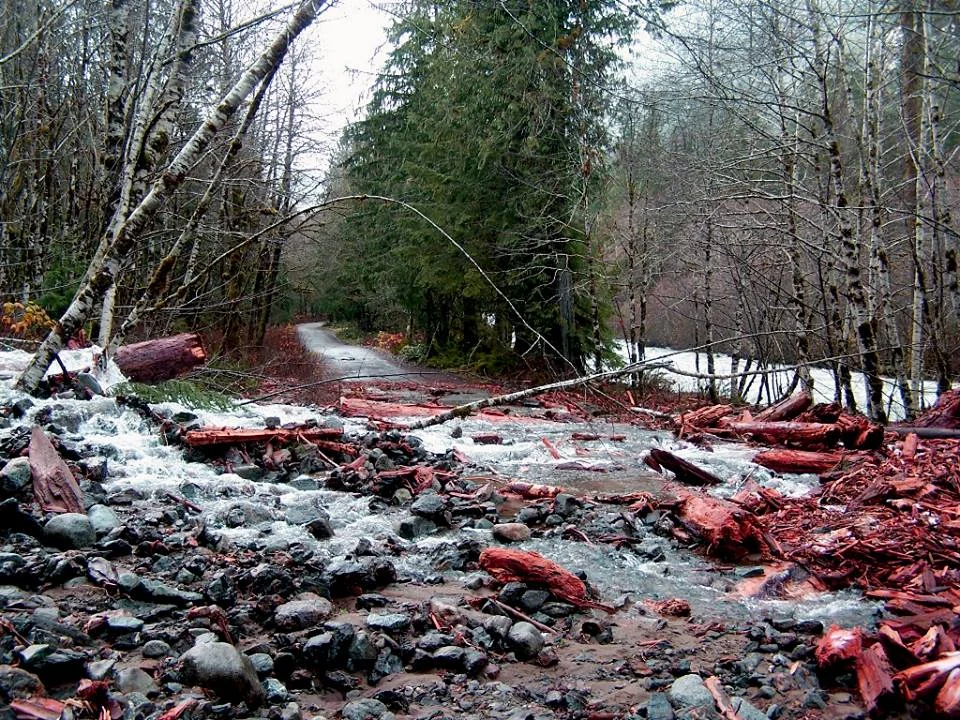 Mountain Loop Highway and Suiattle River Road Updates