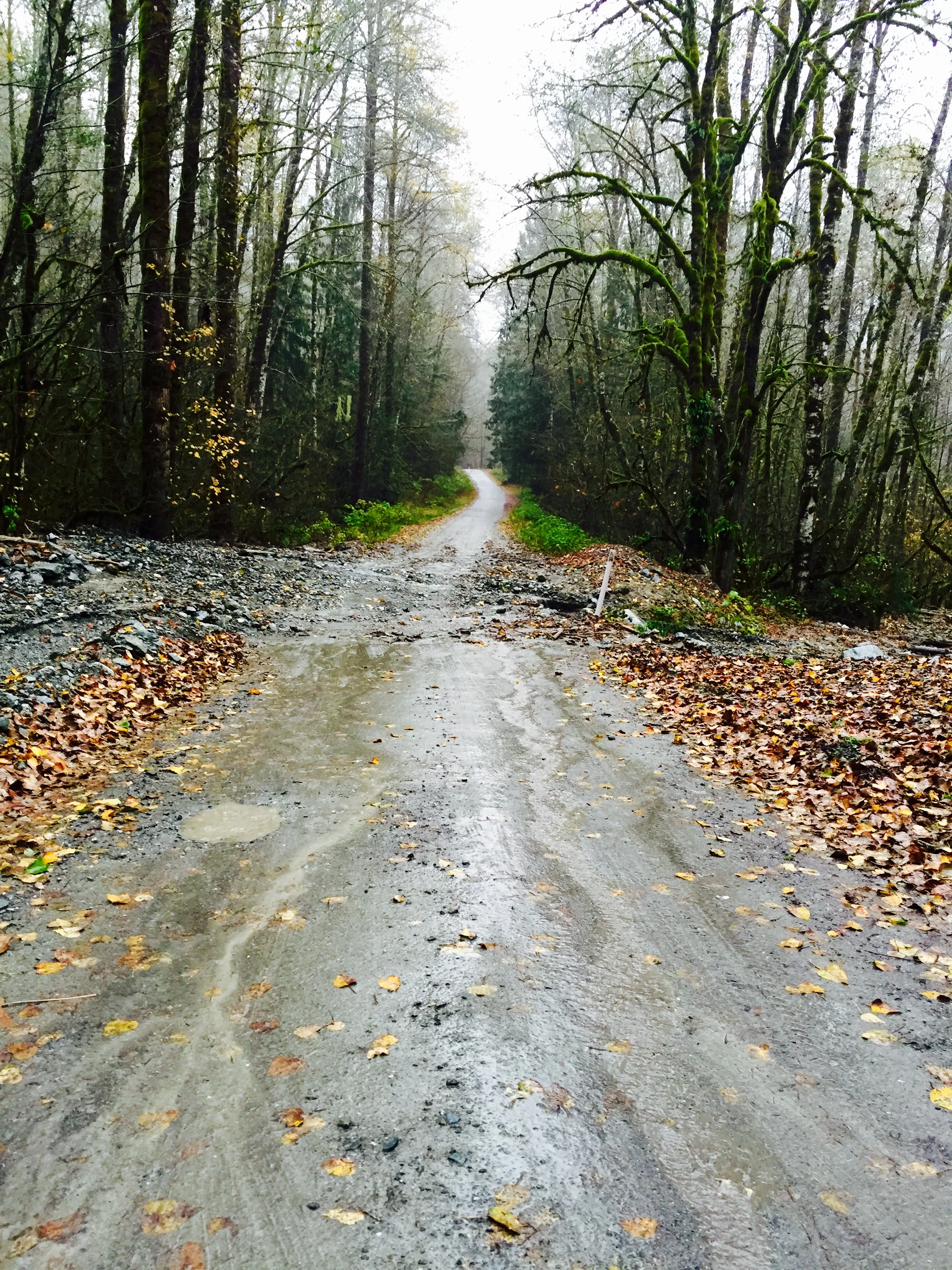Multiple Agencies Reviewing Proposal for Paving the Mountain Loop
