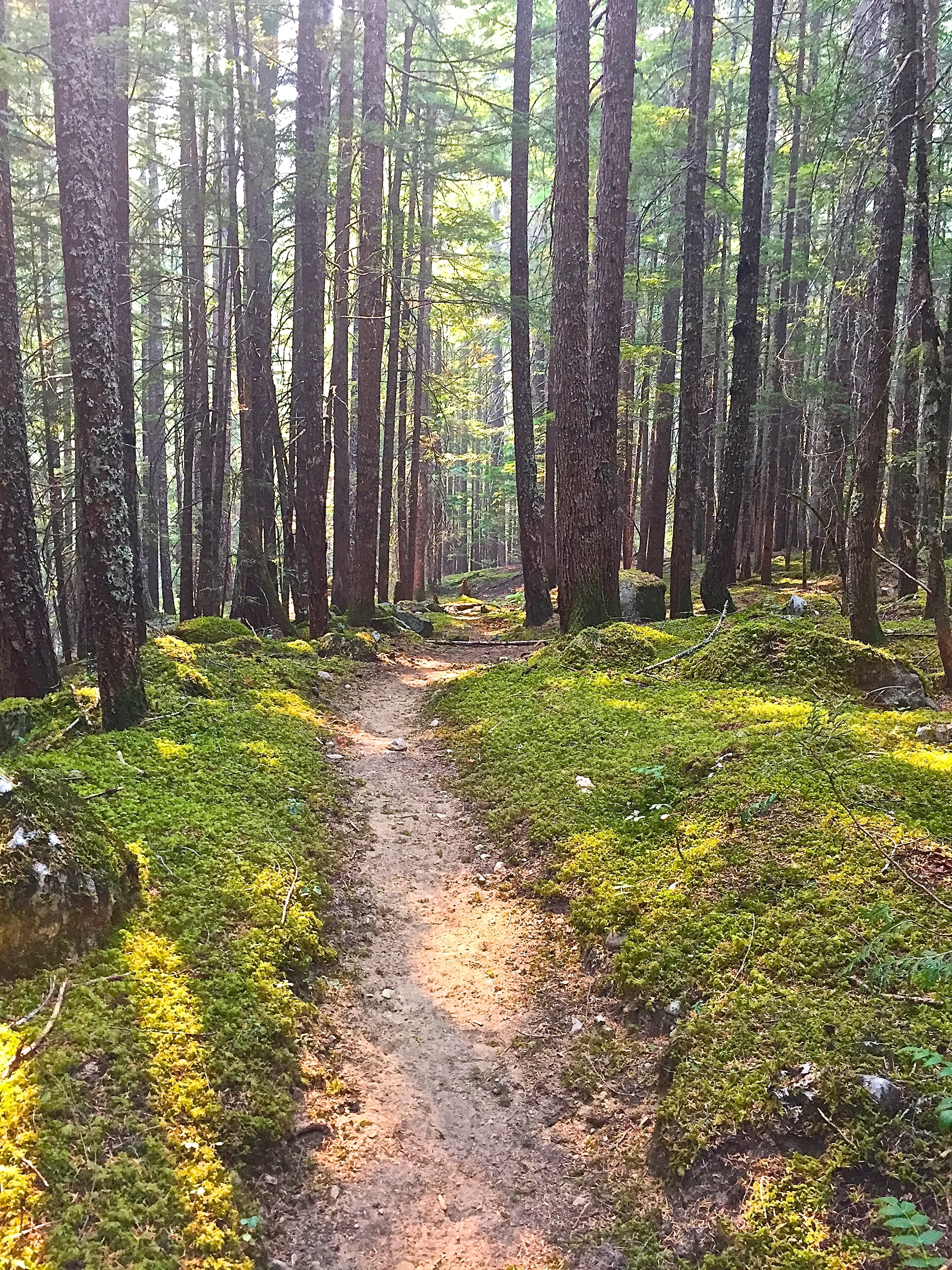 Do You Set Hiking Goals for the  New Year?