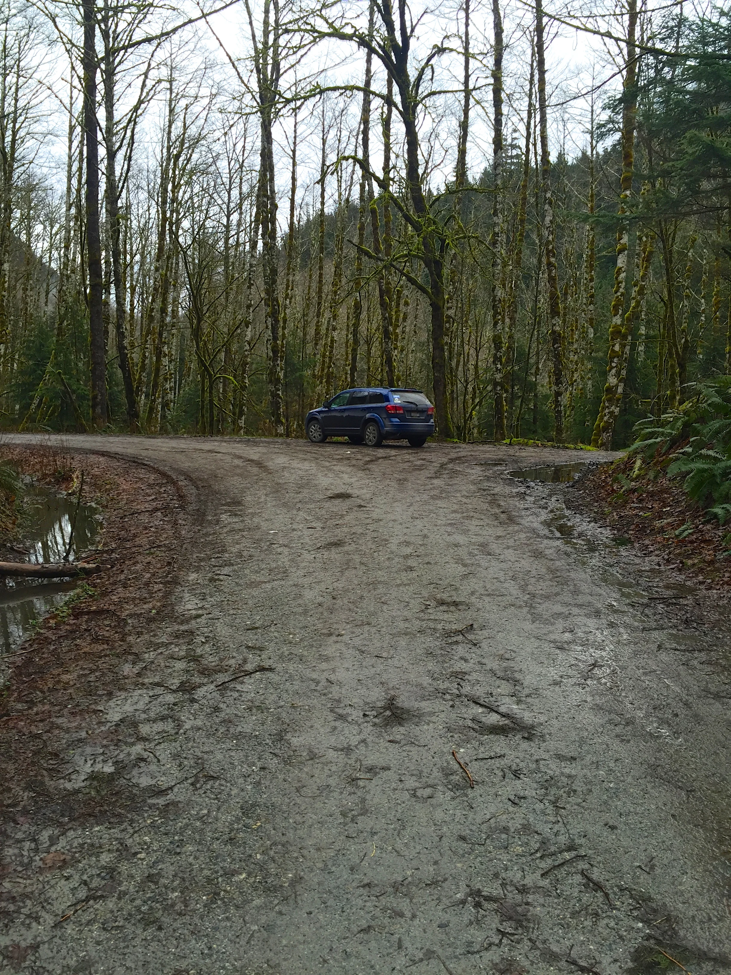 This is the view looking at the parking area turnout off of Road 49.