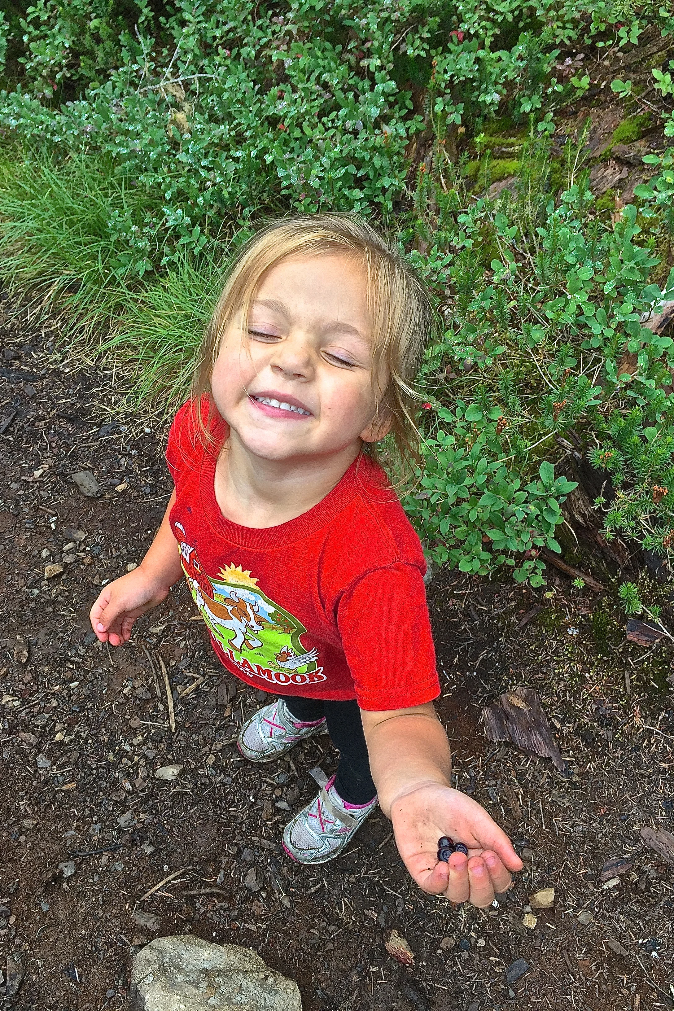 Reggie eating berries on the trail!!
