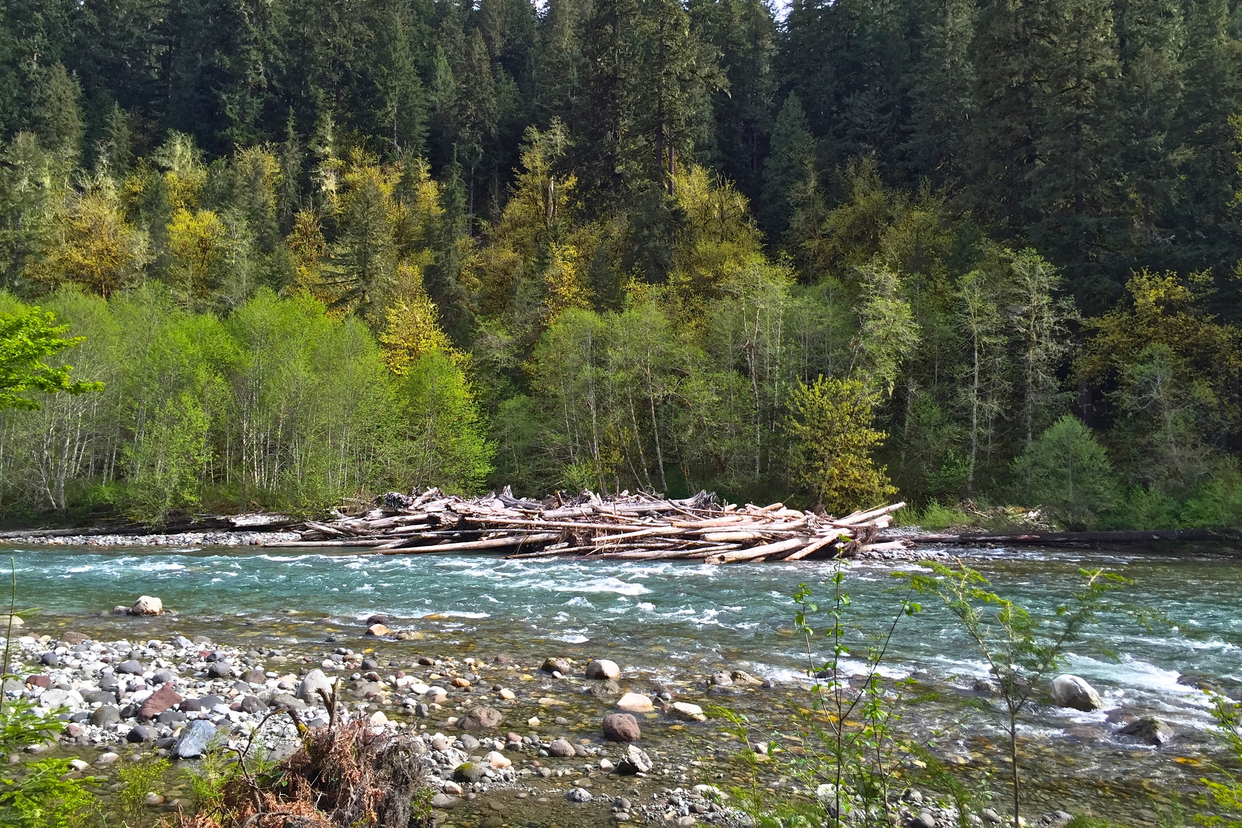 Old Sauk River Hike and Hammock Lounge