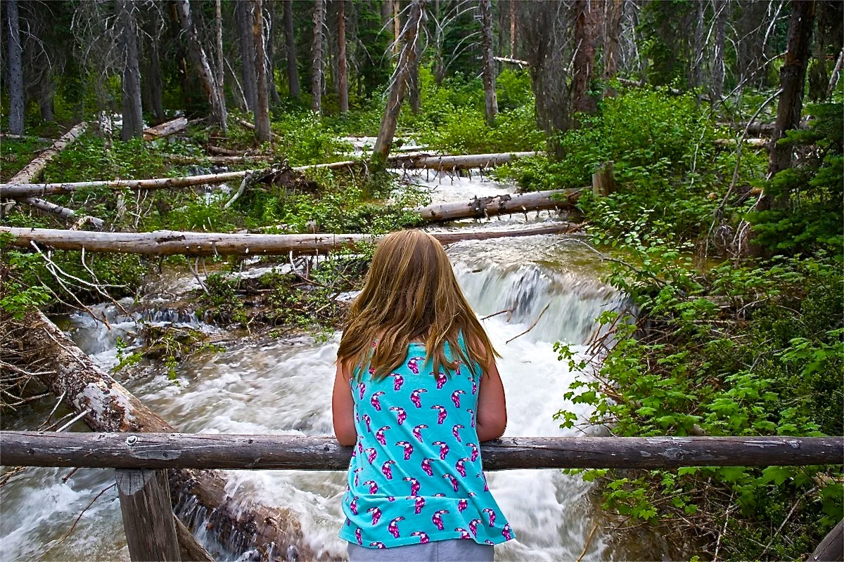 Have you heard of Lone Fir Trail on Highway 20?