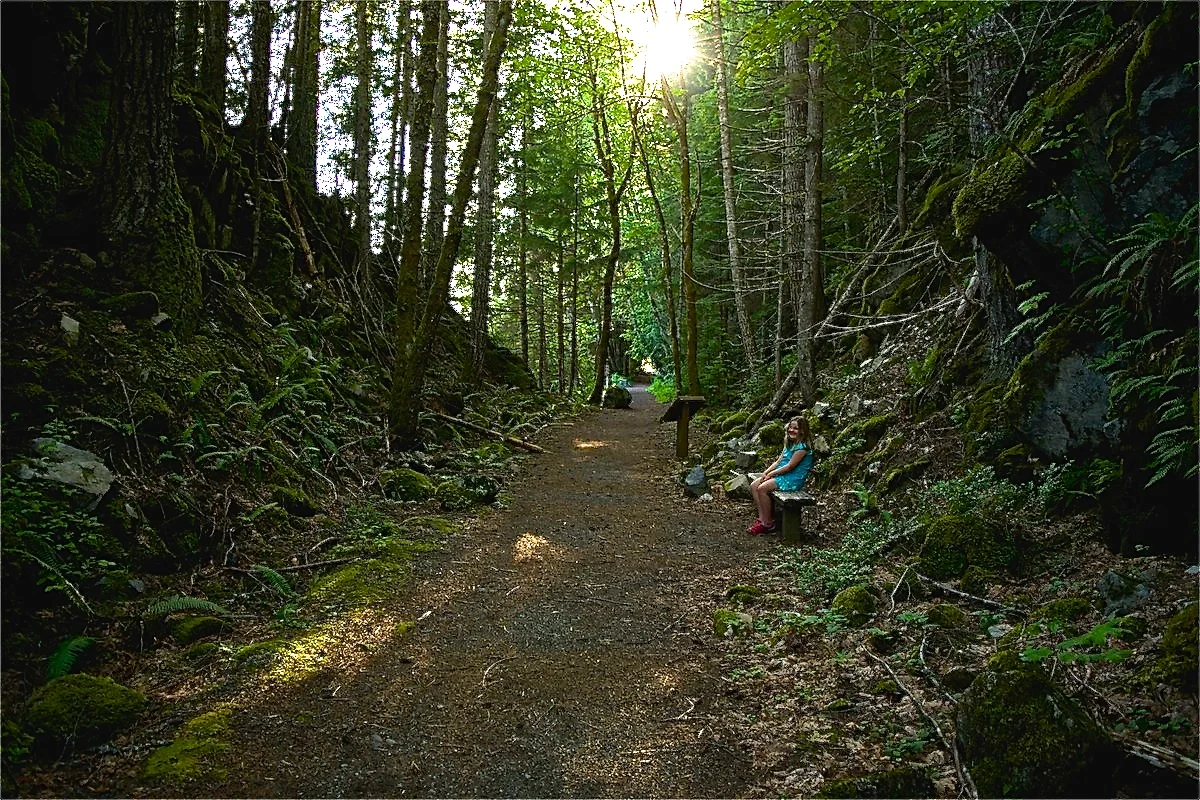 Iron Goat Trail Off of Highway 2 ADA Approved!